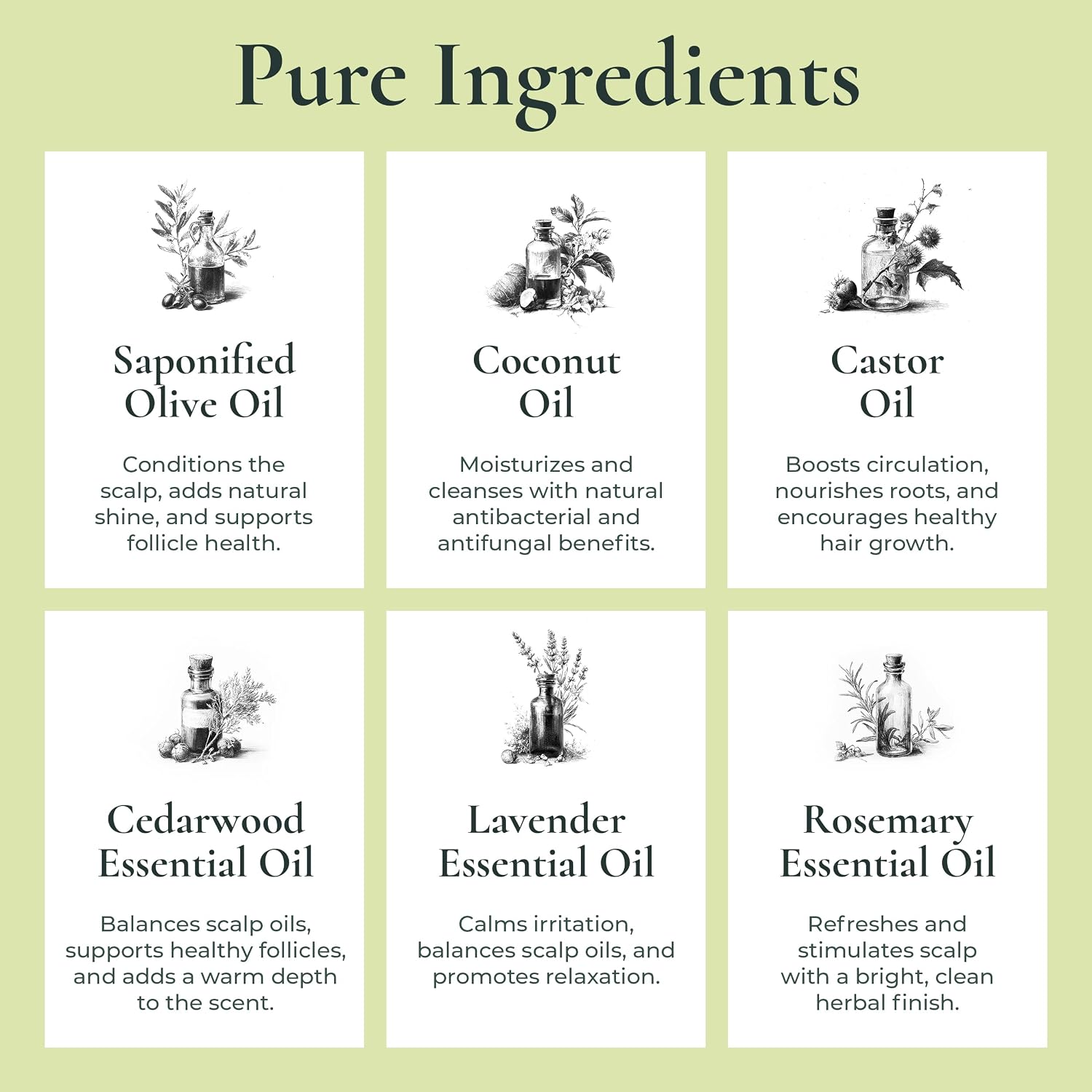 J.R.LIGGETT'S Moisturizing Formula Shampoo Bar Restores Softness 3.5 oz | All-Natural Solid Shampoo Bar Hair Cleanser with Coconut Oil and Aloe Vera, Fragrance-Free, Sulfate-Free
