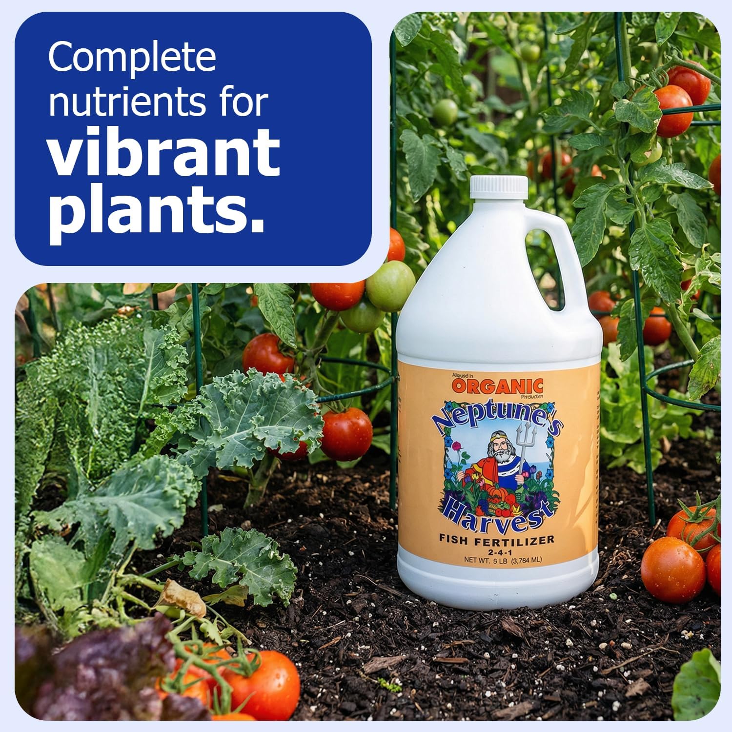 Neptune's Harvest Fish Fertilizer (2-4-1) - Organic Liquid Plant Fertilizer - Fish Hydrolysate for Vegetables, Flowers, Fruit, Trees, Grass - Indoor and Outdoor Plant Food (Gallon)