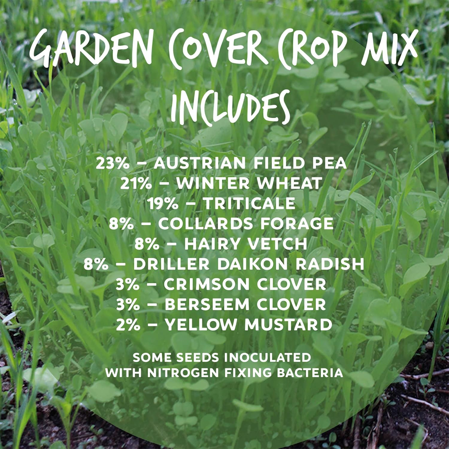 Mountain Valley Seed Co No-Till Garden Farm and Garden Cover Crop Mix Seeds | 5 Lbs - Blend of Gardening Cover Crop Seeds: Hairy Vetch, Daikon Radish, Forage Collards, Triticale, More
