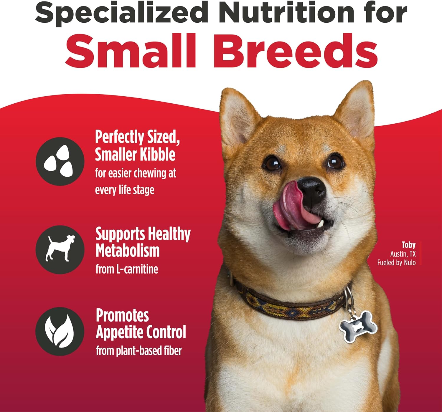 Nulo FreeStyle Small Breed Dog Food Dry - Salmon & Lentils, Puppy & Adult Grain Free Dog Food, Natural, High Protein
