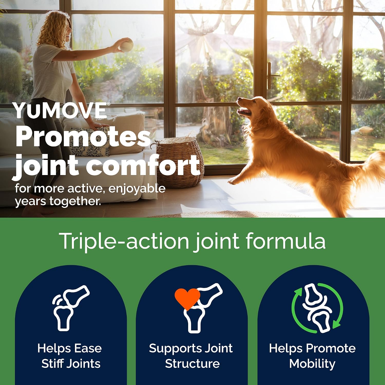 YuMOVE Adult Dog Hip & Joint Supplement Chews Green Lipped Mussel 300ct