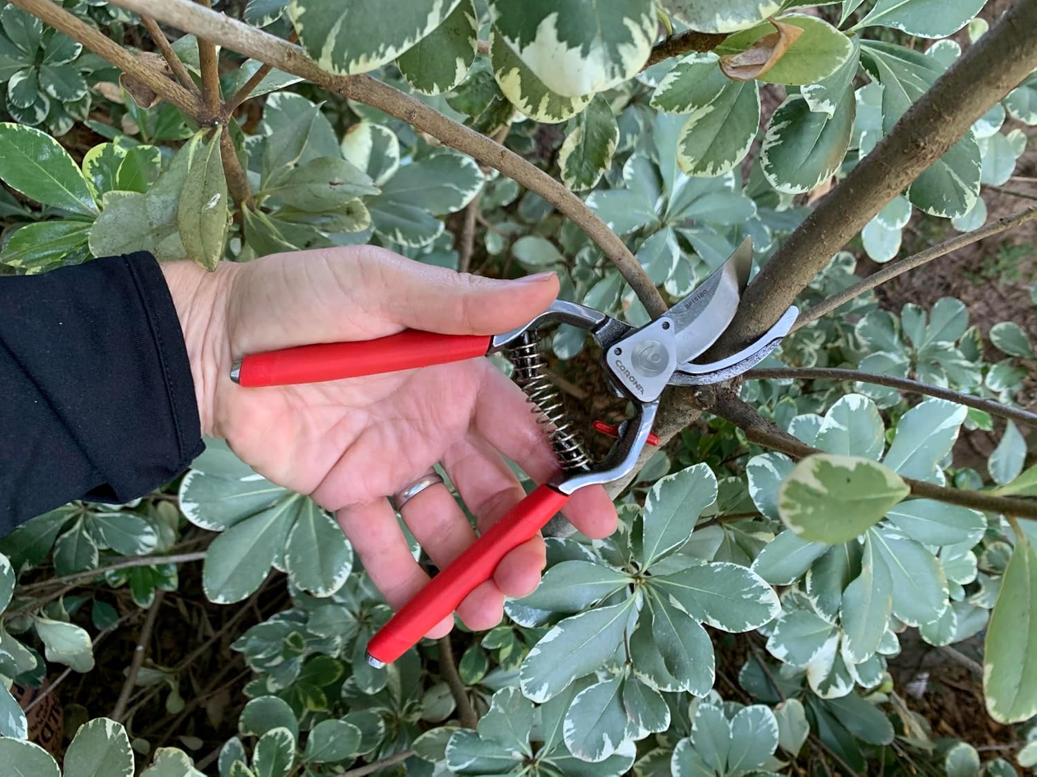 Corona Tools Forged Steel ClassicCUT Bypass Hand Pruner – 1-Inch Cut Capacity Garden Pruning Shears for Stems & Branches