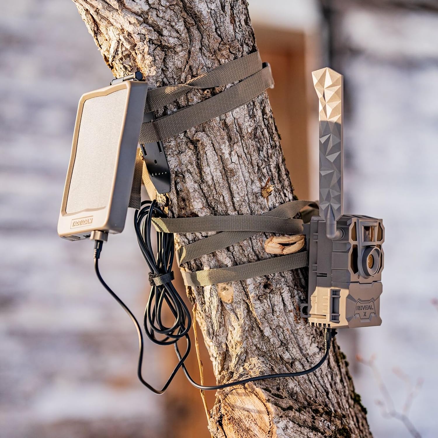 TACTACAM Reveal X 2.0 Cellular Trail Camera, Night Vision, Waterproof | 4G LTE AT&T, photos straight to your phone, 0.4s trigger, no WiFi needed