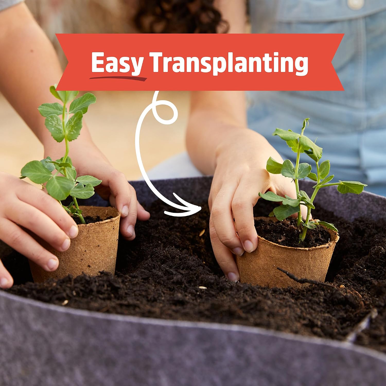 Back to the Roots Sunflower Organic Windowsill Planter Kit - Grows Year Round, Includes Everything Needed for Planting