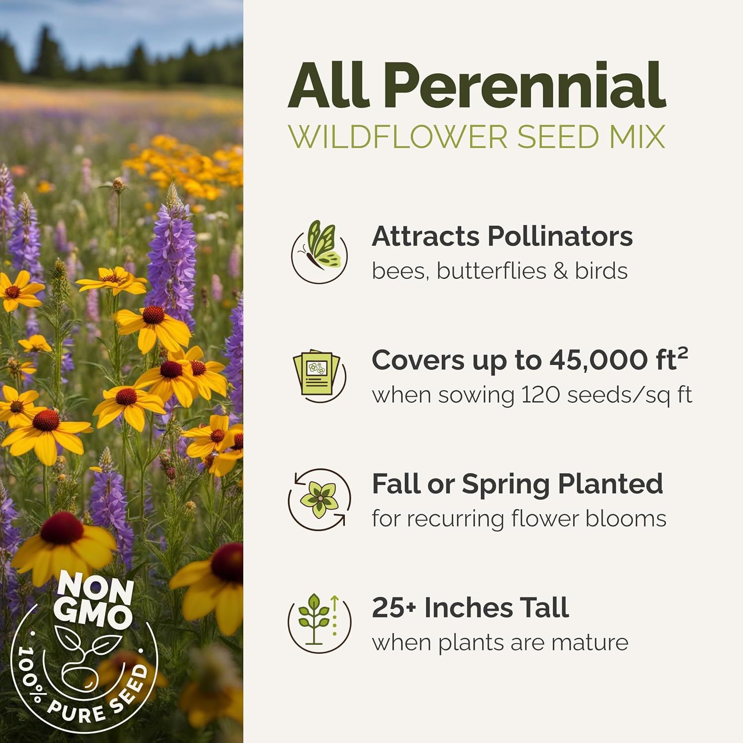 Eden Brothers All Perennial Wildflower Mixed Seeds for Planting, 1 lb, 480,000+ Seeds with Lupine, Shasta Daisy | Attracts Pollinators, Plant in Spring or Fall, Zones 3, 4, 5, 6, 7, 8, 9, 10