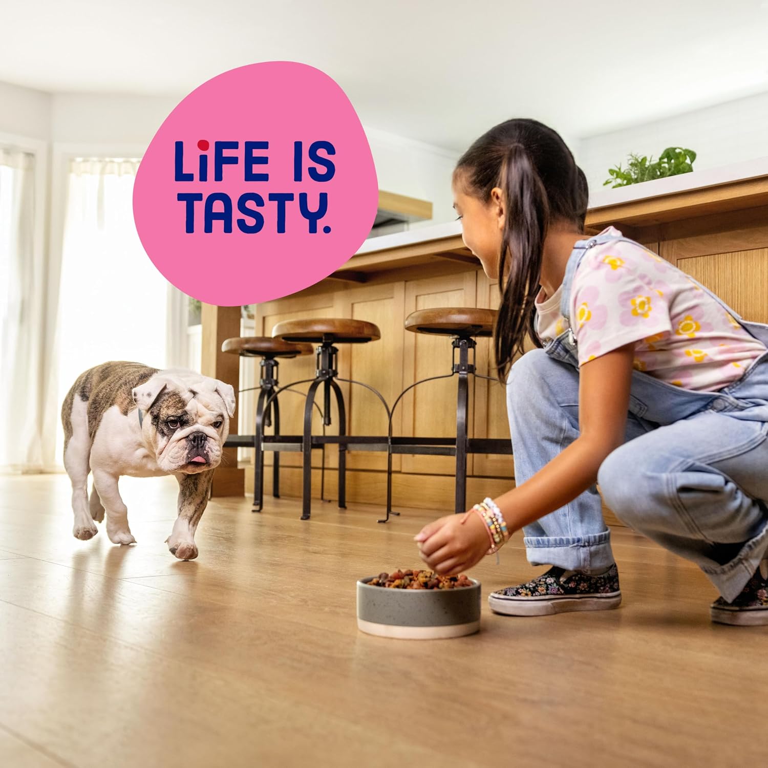 Kibbles 'n Bits Bistro Mini Bits Small Breed Dry Dog Food, Oven Roasted Beef, Spring Vegetable & Apple Flavors for Adult Dogs, 16 lb. Bag | Complete & Balanced Nutrition Formulated For Small Adult Dogs Crafted With Beef, Spring Vegetable & Apple Flavors