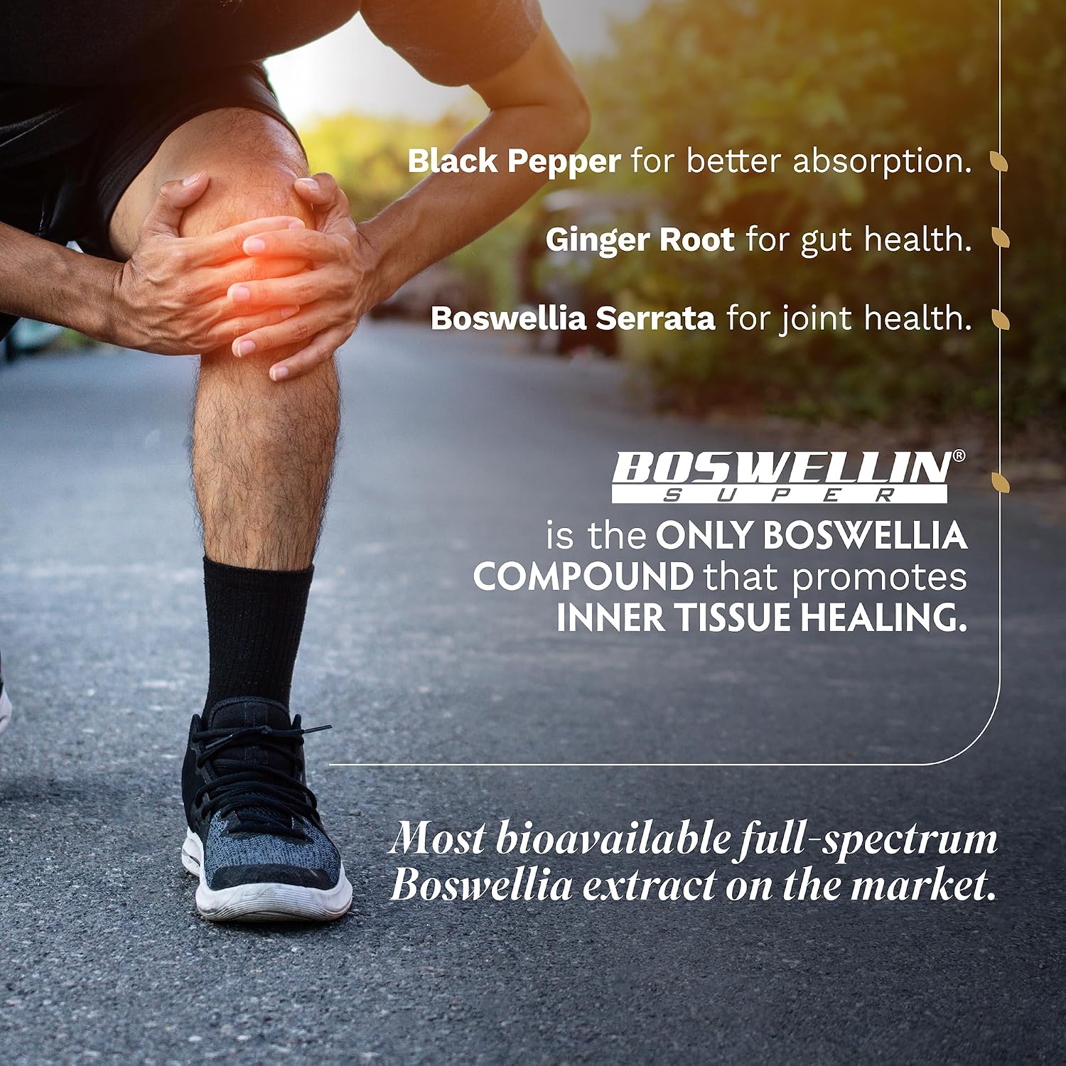 TRIBE ORGANICS Boswellia Serrata Complex Supplement for Joint Support, Muscle Relief - Vegetarian Non-GMO 120 Capsules