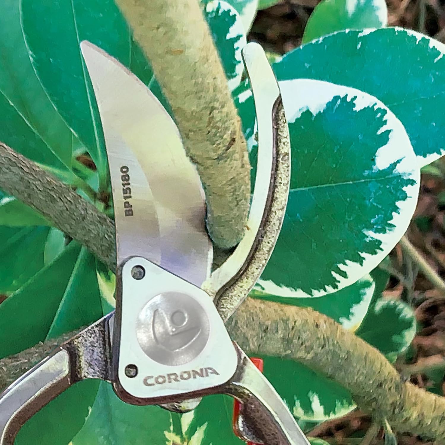 Corona Tools Forged Steel ClassicCUT Bypass Hand Pruner – 1-Inch Cut Capacity Garden Pruning Shears for Stems & Branches