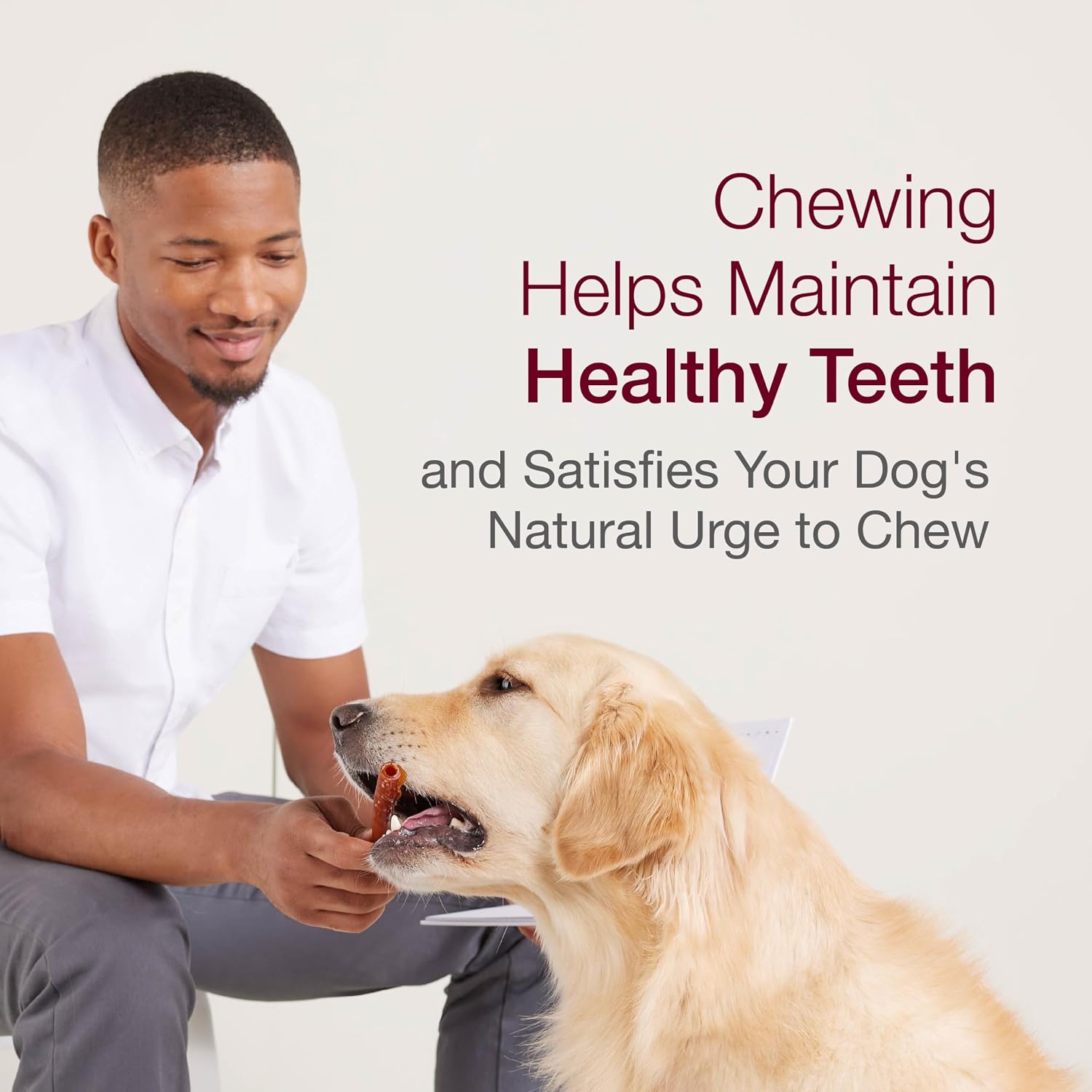SmartBones Large Chews, Treat Your Dog to a Rawhide-Free Chew Made with Real Meat and Vegetables | With With Real Chicken, Easy To Digest Chew, Vitamin & Mineral Enriched, Helps Maintain Healthy Teeth, For Large Dogs