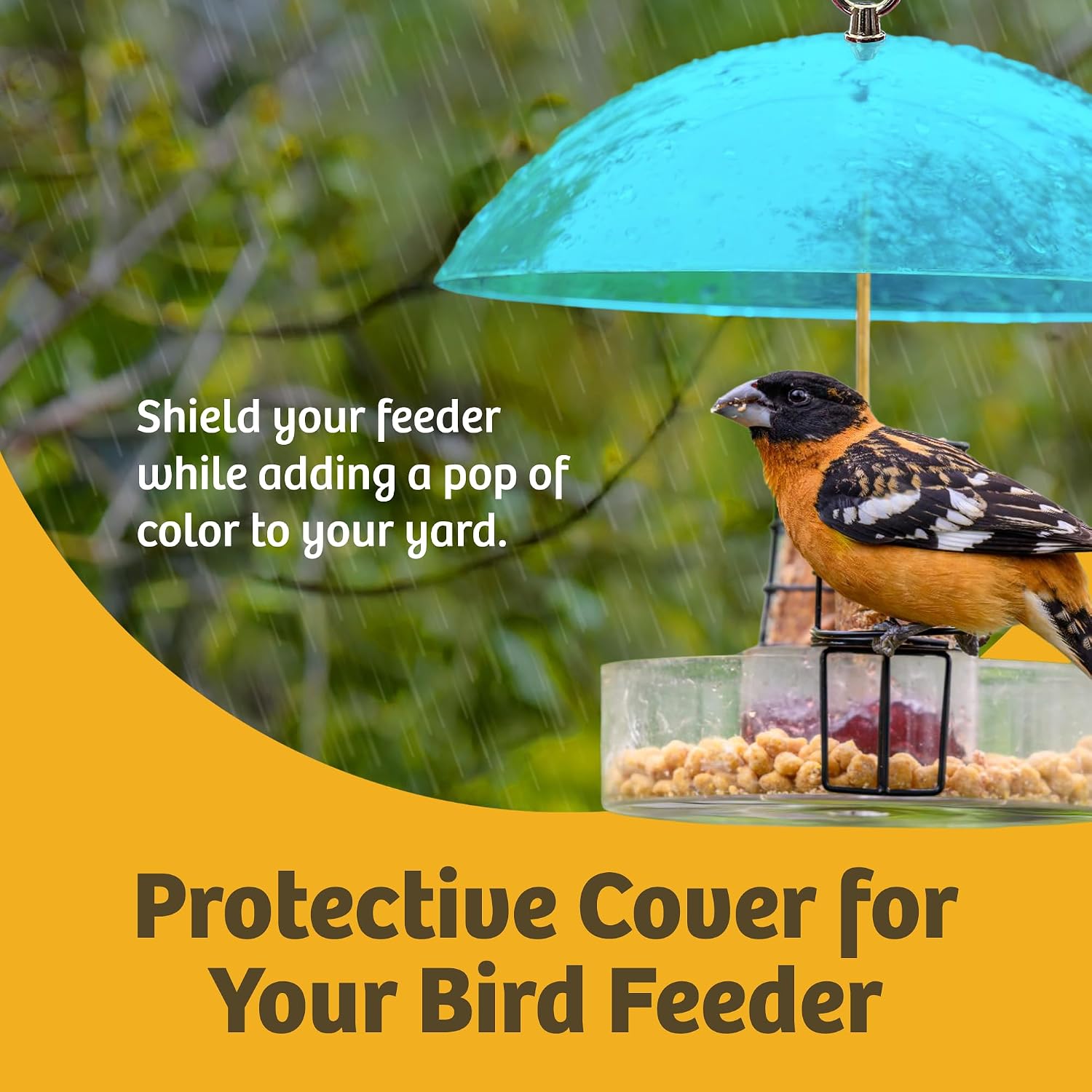 Birds Choice Red Bird Feeder Dome | 10.5" Rain Guard Cover for Hanging Bird Feeders | Outdoor Weather Guard to Help Keep Seed Dry | Domed Acrylic Outdoor Weather Guard for Hanging Feeders to Keep Seed Dry, Heavy-Duty Chrome-Plated Hanger and Hook
