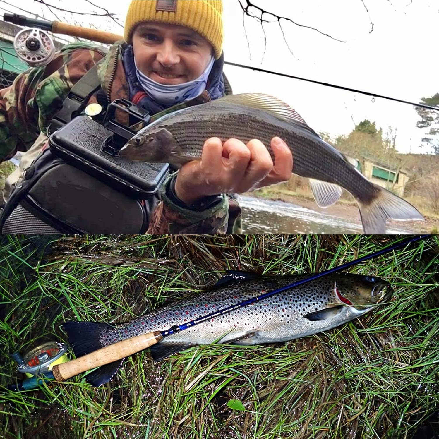 M MAXIMUMCATCH Maxcatch Performance Nymph Fly Fishing Rod in 2/3/4wt: 10ft/11ft, IM10 Carbon, AAA Cork Handle, Rod Tube and Combo Set Available