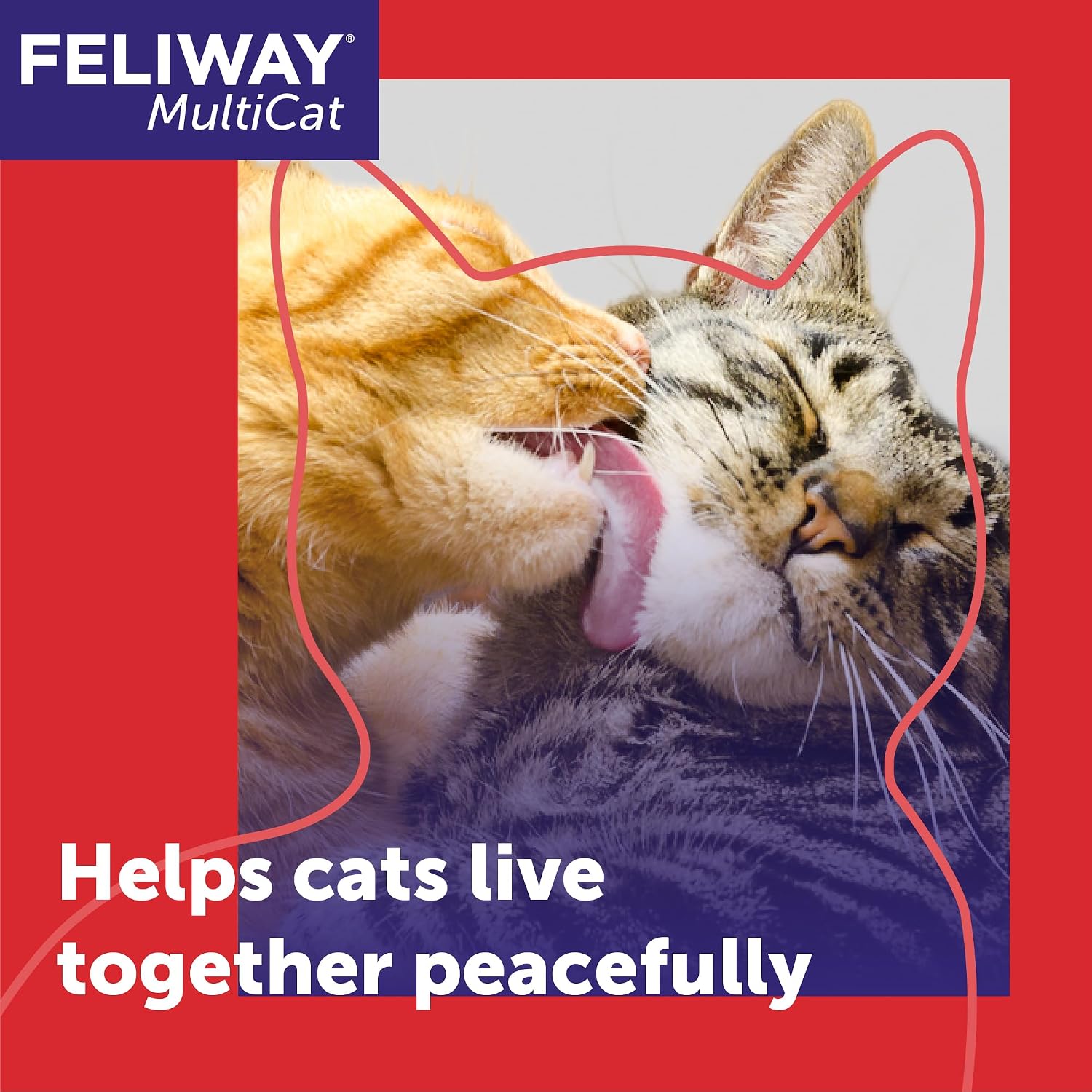 FELIWAY MultiCat Cat Calming Pheromone Diffuser Kit | Helps Reduce Fighting, Tension and Aggression Between Cats due to Stress for Multi‑Cat Homes, 30 Day Supply