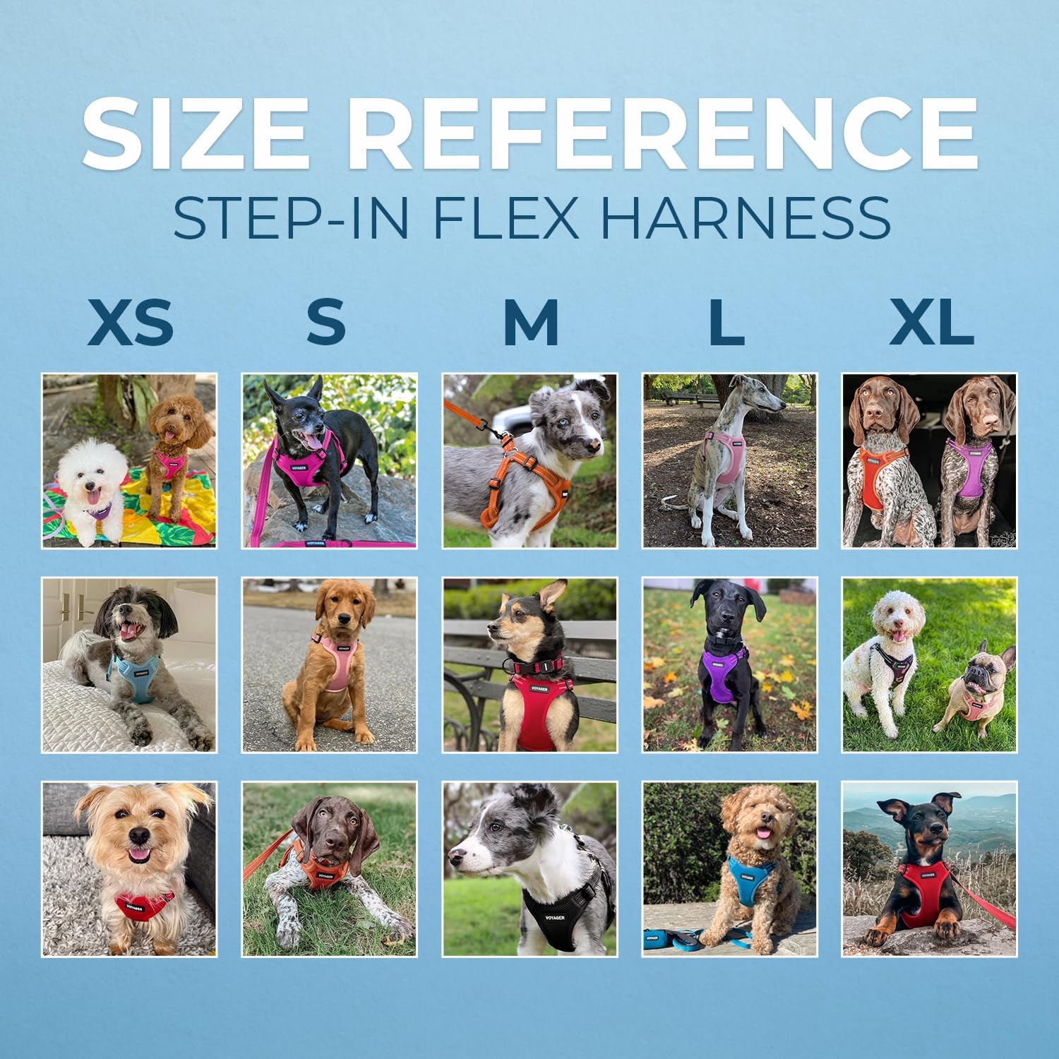 Voyager Step-in Flex Adjustable Dog Harness - Black, Medium | 17 - 21" in Chest, Fully Adjustable, Reflective Bands, All Weather Breathable Air Mesh, Lightweight, Fast Drying