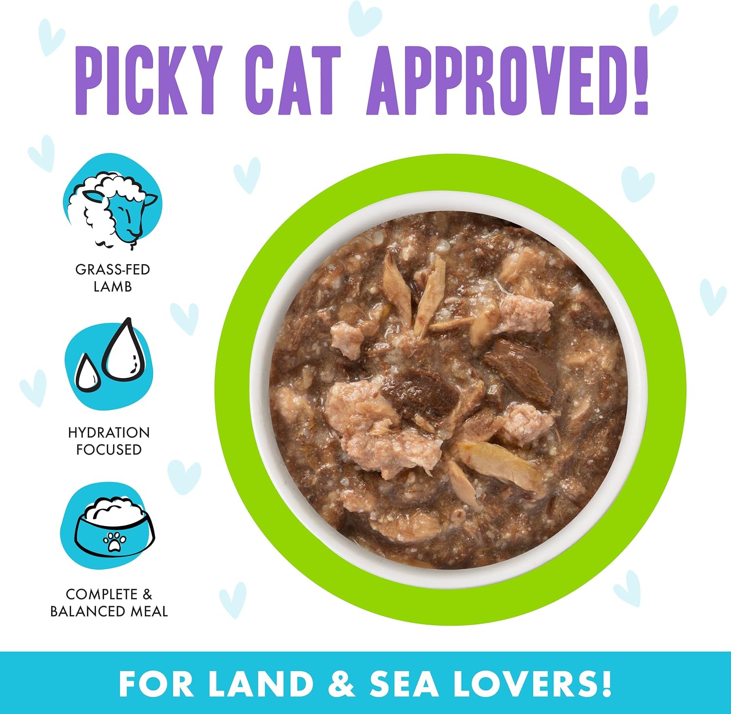 Weruva B.F.F. OMG - Best Feline Friend Oh My Gravy!, Tuna & Salmon Sweet Cheeks with Tuna & Salmon in Gravy Cat Food, 3oz Pouch (Pack of 12)