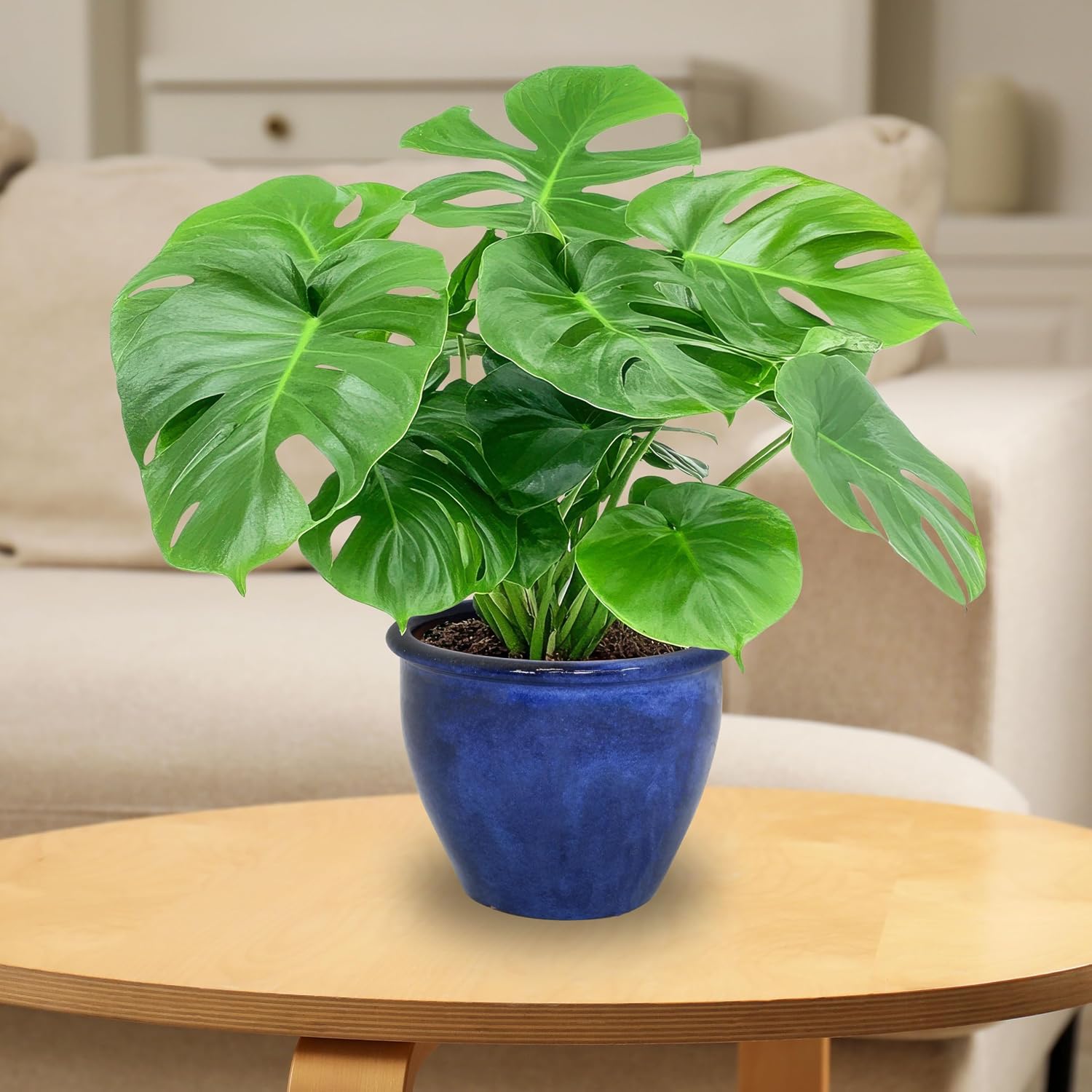 Sunnydaze Chalet 12" Ceramic Plant Pot, Imperial Blue Glaze, 2pk