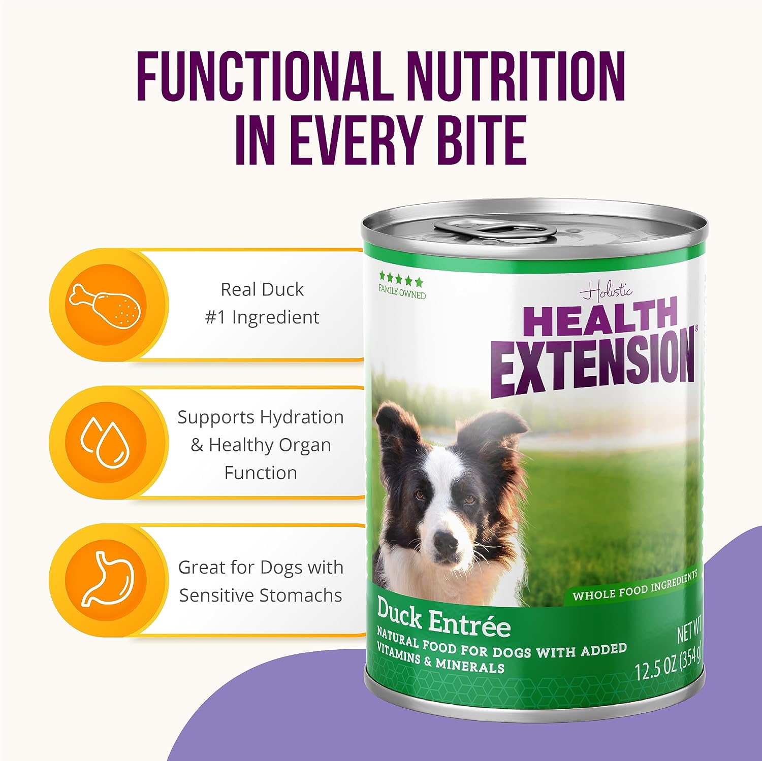 Health Extension Lamb Entrée Wet Dog Food, 12.5 oz – Protein-Rich Recipe, Hydration Support, Ideal for Sensitive Stomachs (Case of 12 Cans)