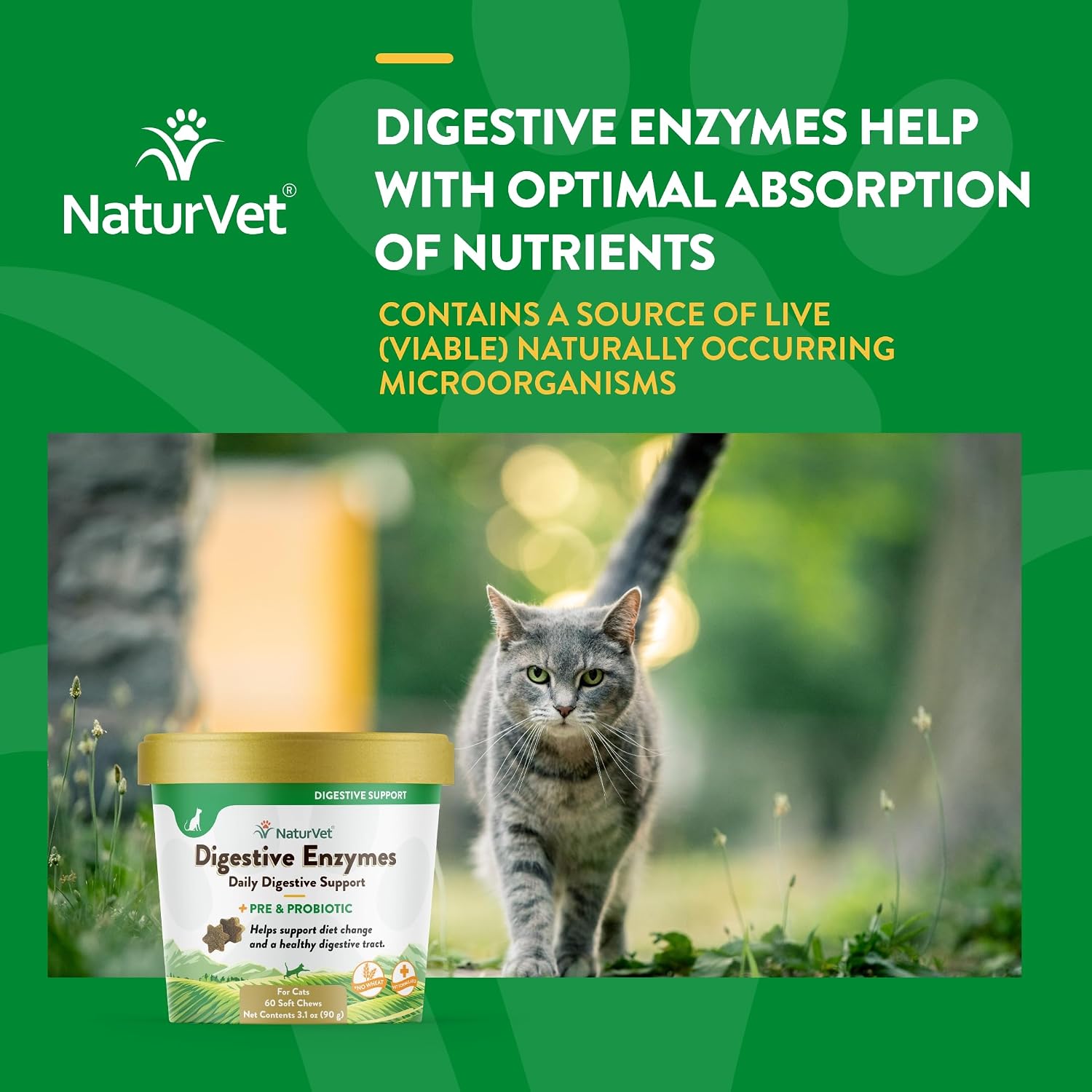 NaturVet Digestive Enzymes with Pre & Probiotic for Dogs & Cats - 8 oz | Supports Diet Changes & a Healthy Digestive Tract with Prebiotics, Powder
