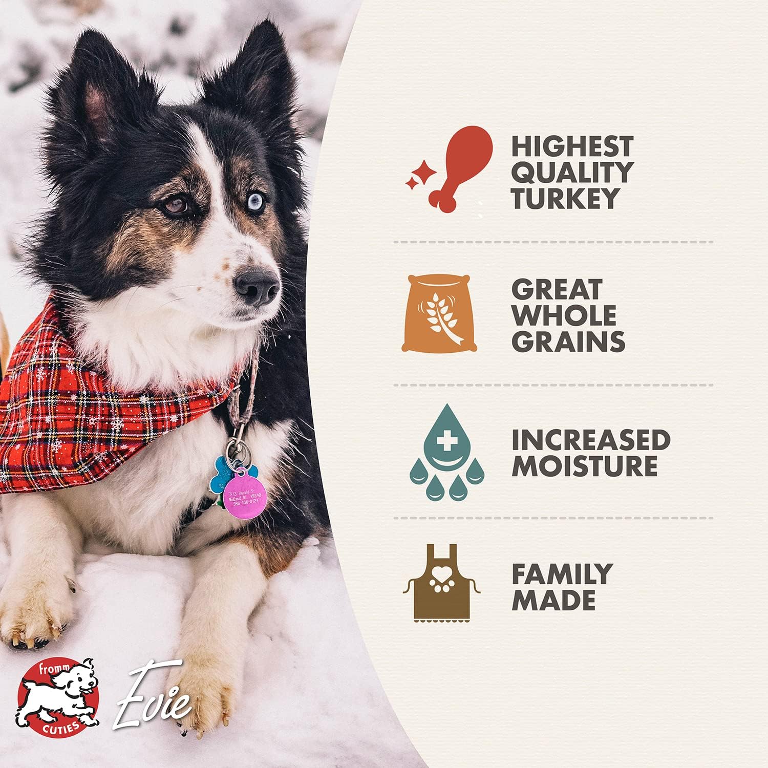Fromm Venison & Lentil Pate Dog Food - Premium Wet Dog Food - Venison Recipe - Case of 12 Cans