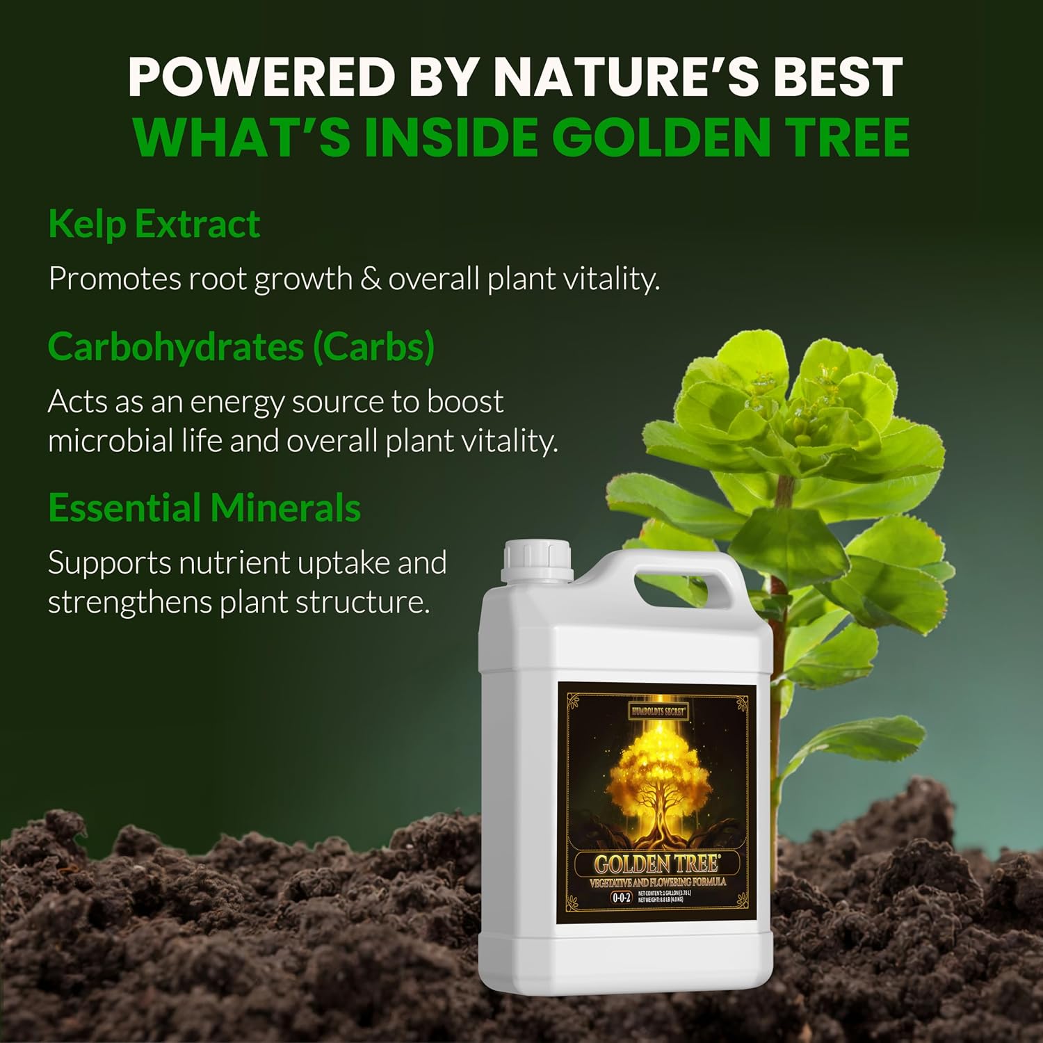 Humboldts Secret Golden Tree Liquid Plant Food | Enhances Growth Indoors or Outdoors | All-in-One Plant Nutrients for Vegetables, Trees, Flowers, Fruits, Roses, Lawns, Tomatoes | 16 Ounce