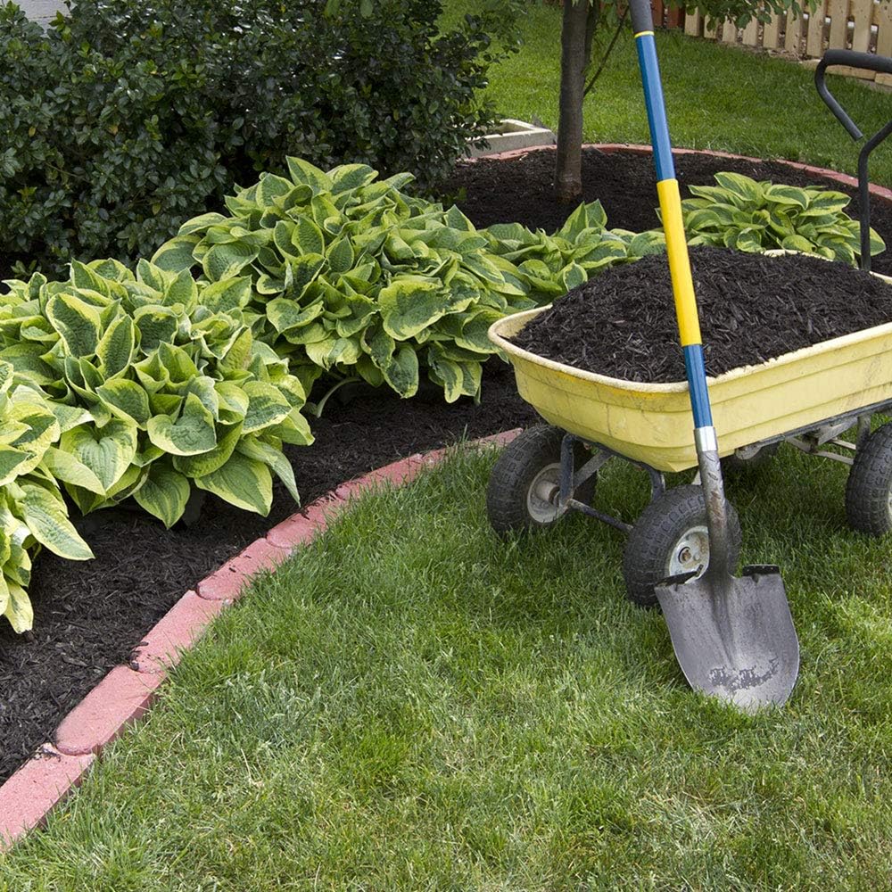 6 Pack of Mixed Heart-Shaped Hosta Bare Roots Plants - Rich Green Foliage, Low Maintenance for Your Home and Garden
