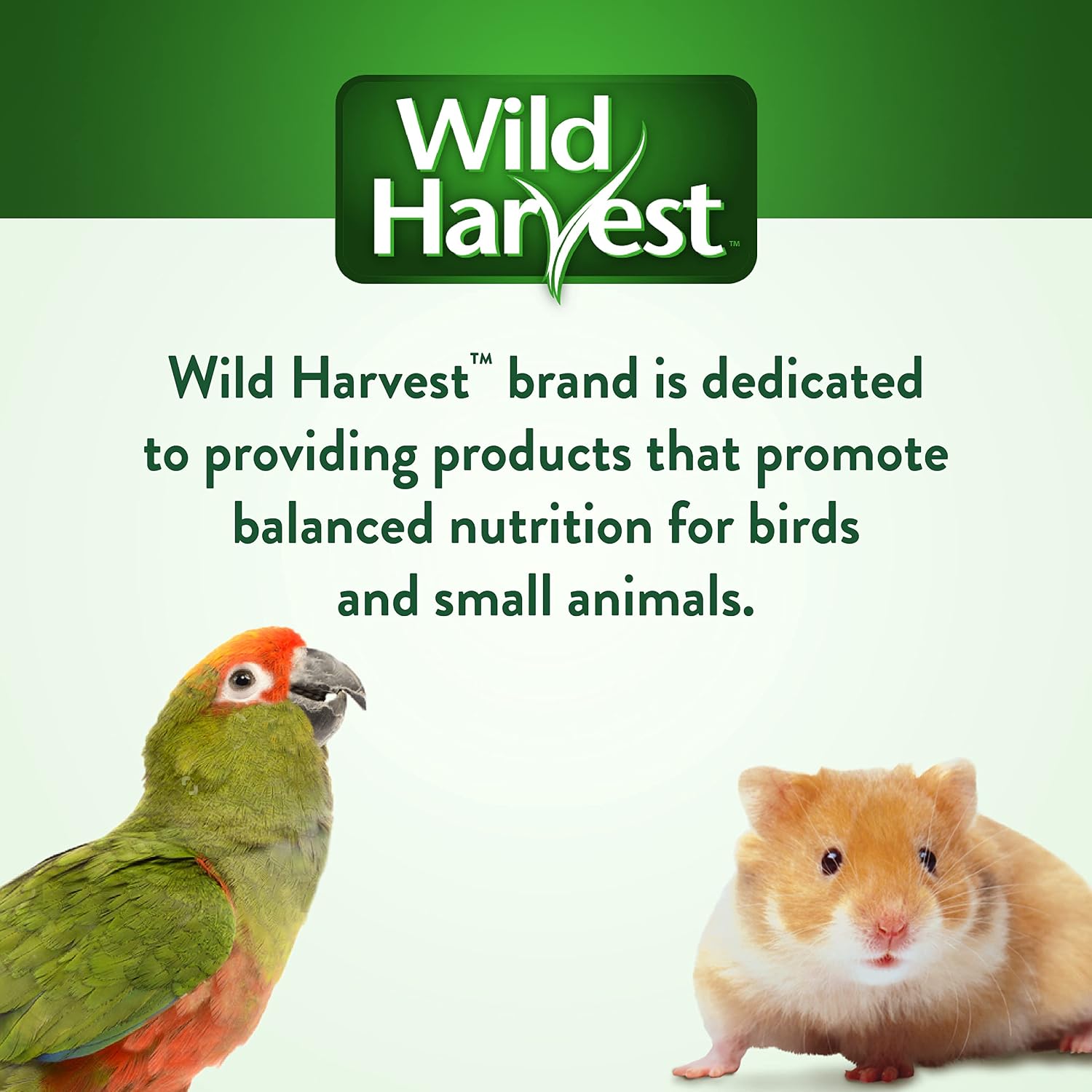Wild Harvest Universal Blend For Small Birds 3 Pounds, Foritified Nutrition