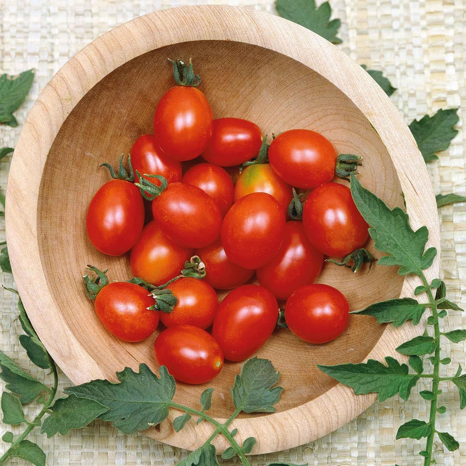 Eden Brothers Tomato Seeds - Persimmon Non-GMO Seeds for Planting, 1 oz | Low-Maintenance Vegetable Seeds, Plant During Warm Season, Zones 10, 3, 4, 5, 6, 7, 8, 9