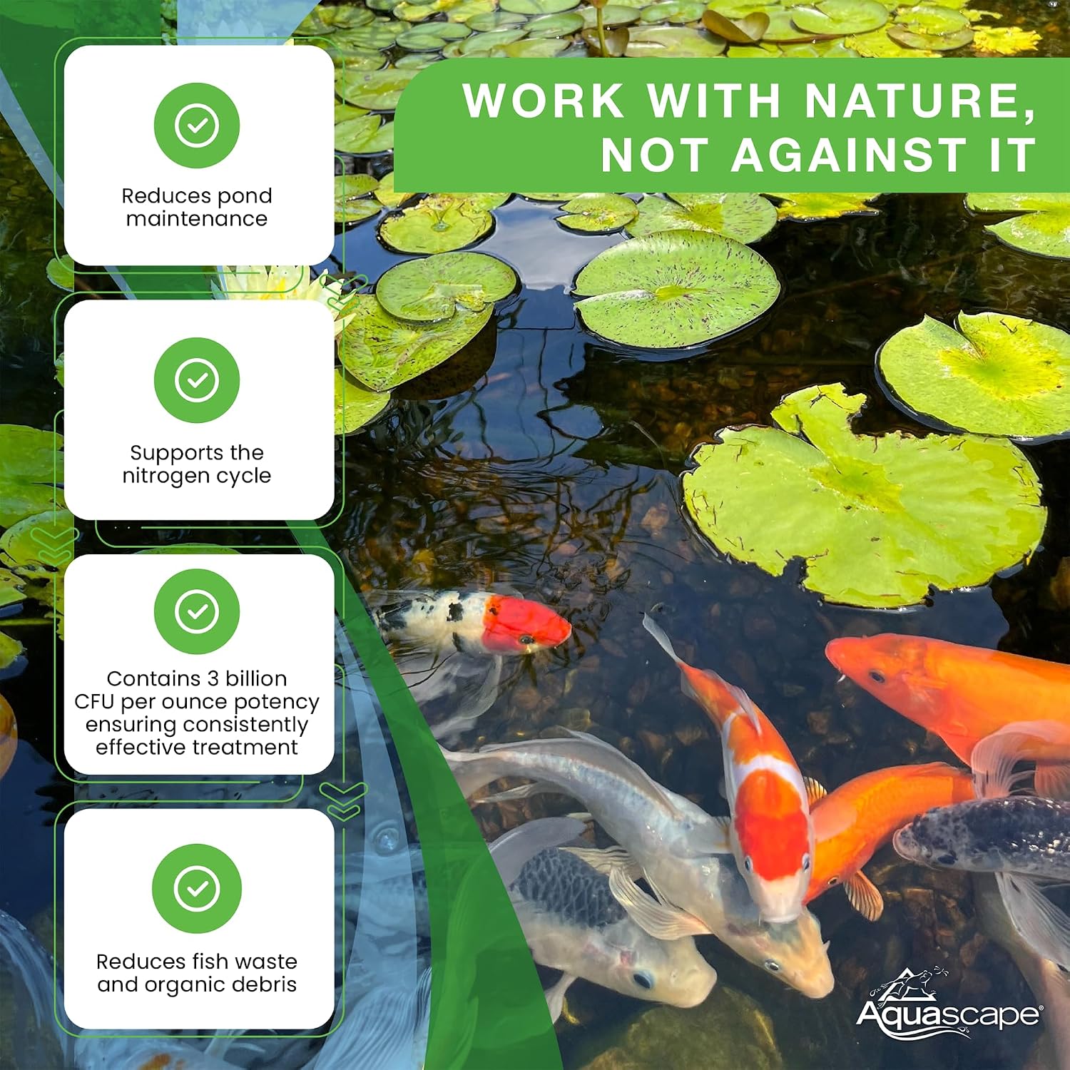 Aquascape Dry Beneficial Bacteria for Pond and Water Features, 8.8 Ounce (Pack of 1), 98948 , white