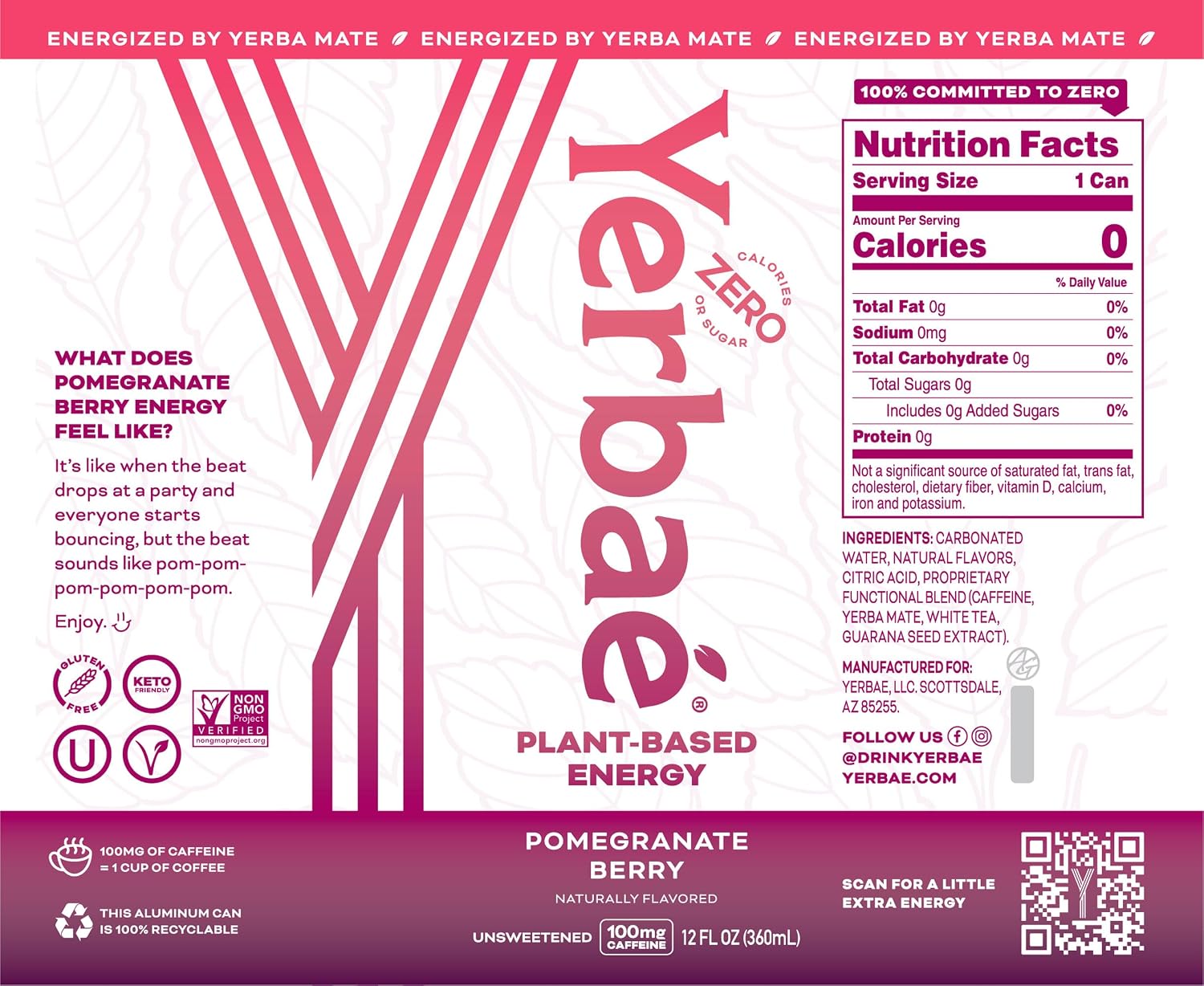 Yerbaé Energy Seltzer - Variety Performance Pack. No Sugar/Calories/Carbs. Energized by Yerba Mate Naturally Caffeinated Plant-Based, Healthy Alternative to Coffee/Sugary Sodas, Pack of 12, 12oz cans