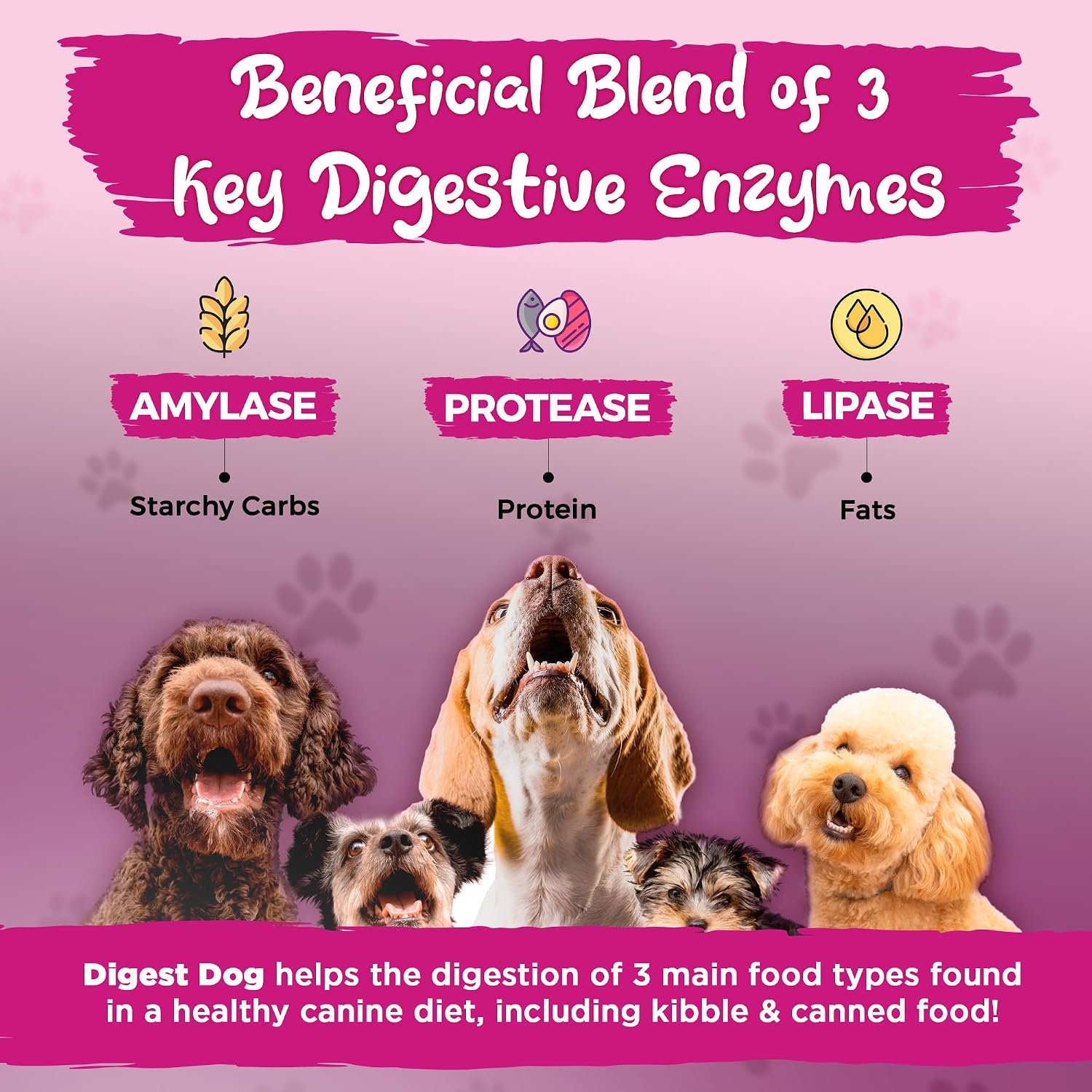 Vital Planet - Digest Dog Digestive Pancreatic Enzyme Blend with Pumpkin and Fennel to Support the Pancreas and Healthy Digestion with Pancreatin