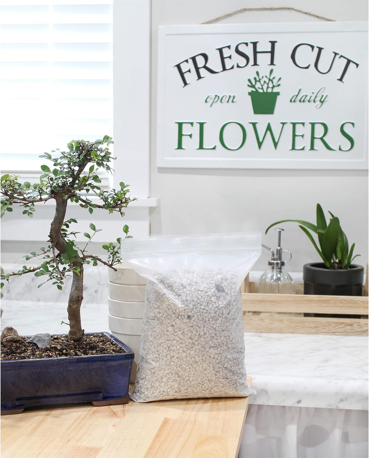 Planting Mix for Plant Propagation (4 Quarts), Hand Blended Soilless Mix for Propagating Plants, House Plants, and More
