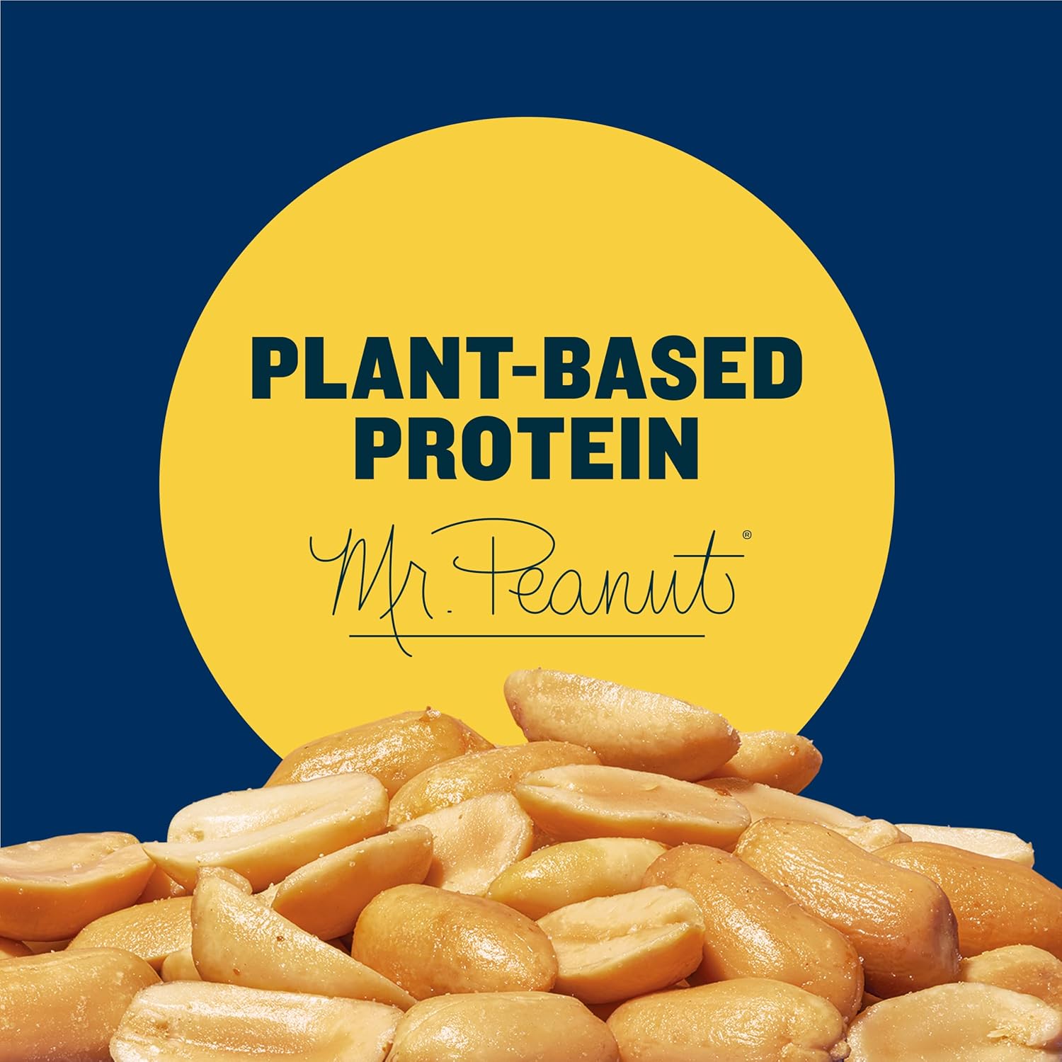 PLANTERS Salted Peanuts, Party Snacks, 16 Oz (1 Ct) | Dry Roasted Salted Peanuts. 0g Trans Fat. Resealable Jar. Snacks for Adults. Party Mix, Flavored Nuts
