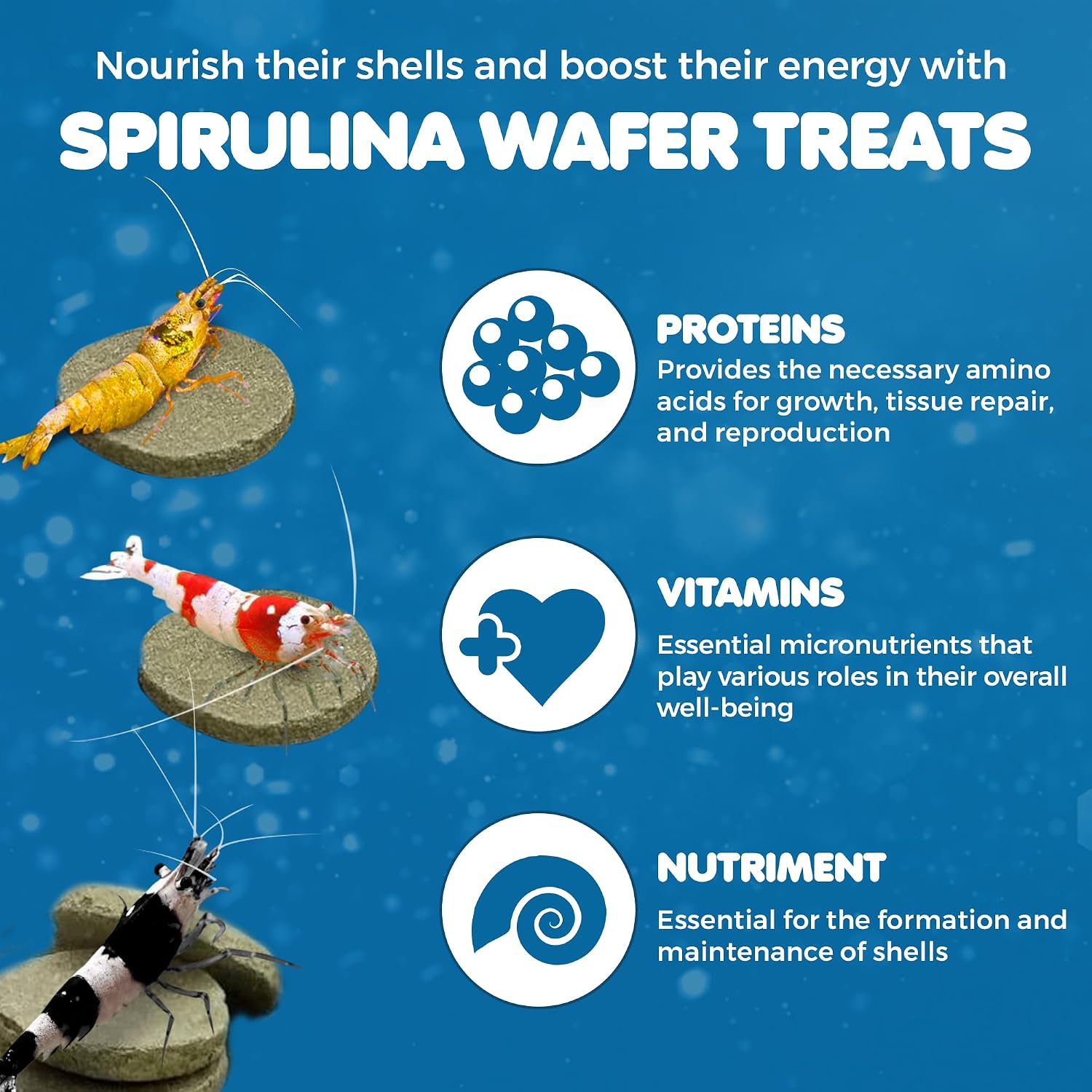 SunGrow Spirulina Protein Wafers for Shrimps, 1.75 oz Nutritional Snack, High-Protein Food for Freshwater Shrimp, Ideal for Betta Fish Supplies, Aquarium Salt Setups, Nano Tanks & Bottom Feeders