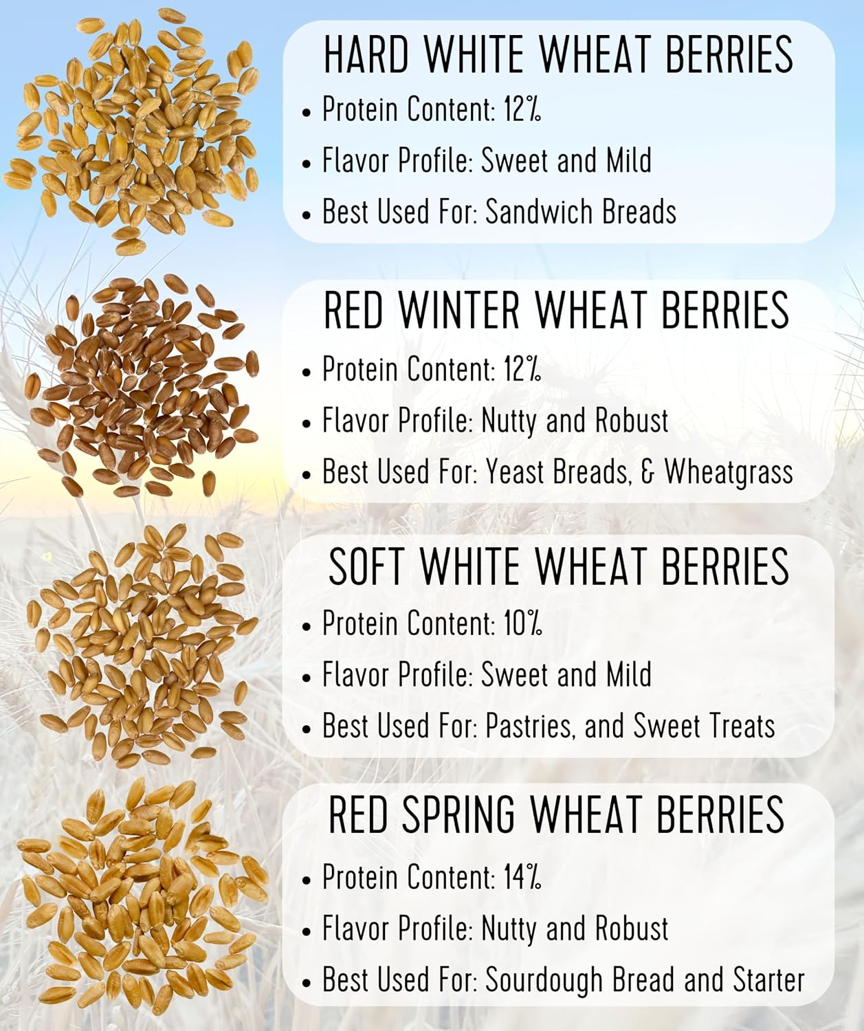 Palouse Brand Certified Glyphosate Residue Free Hard Red Winter Wheat Berries | 5 LBS | Family Farmed in Washington State | Non-GMO Project Verified | Certified Kosher Parve