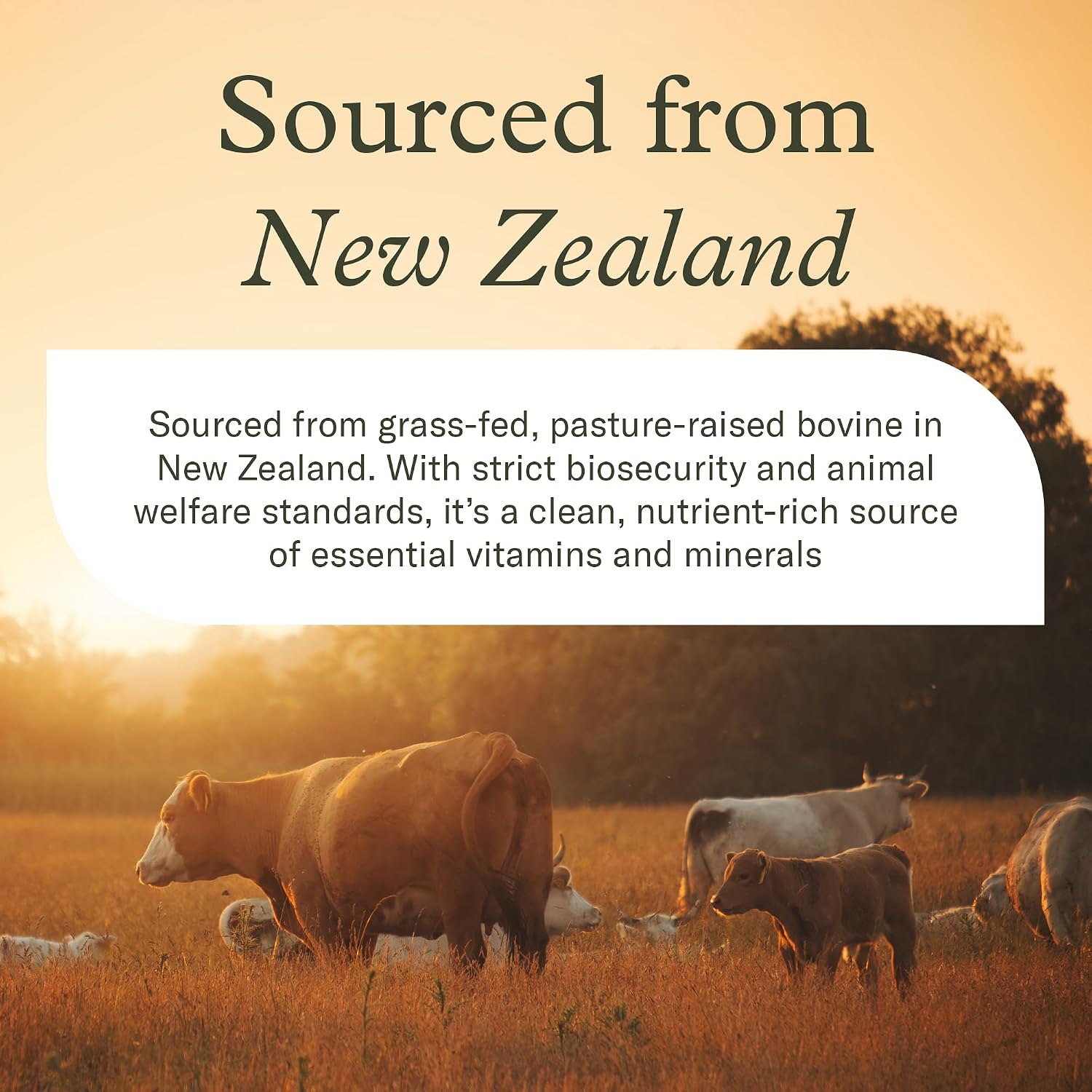 Enviromedica Grass Fed Beef Liver Capsules, Freeze-Dried, 180 Count | Pasture-raised New Zealand bovine liver