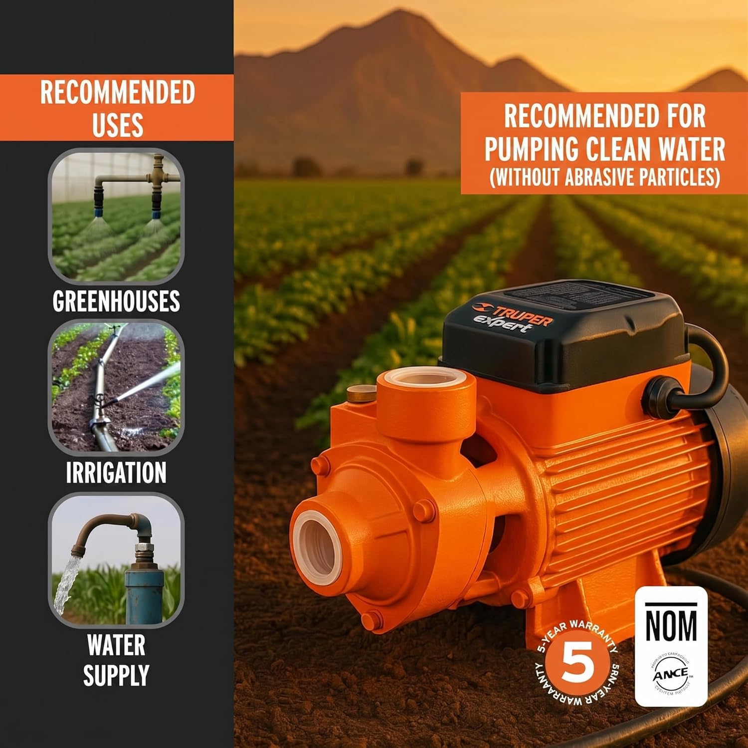 Truper Expert 1 HP Electric Peripheral Water Pump