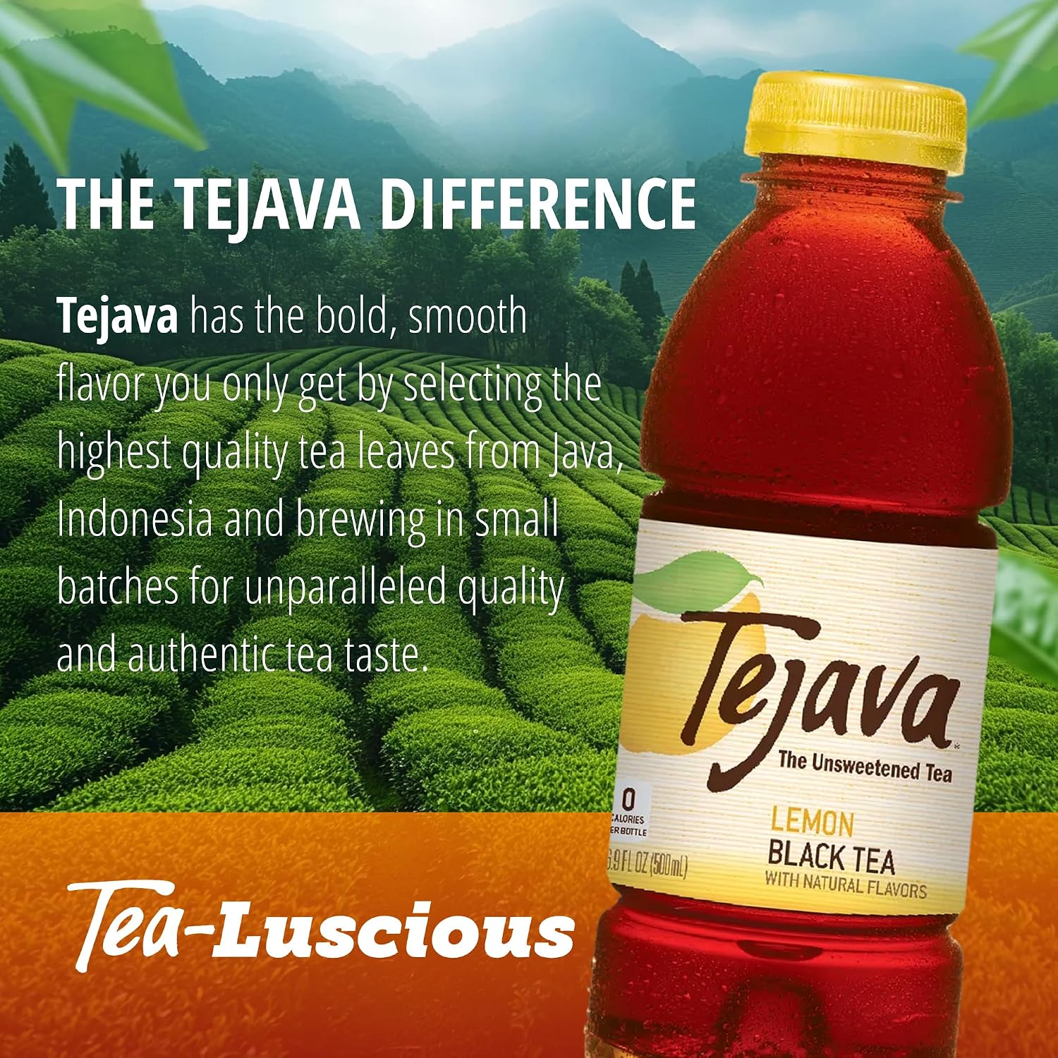 Tejava Pineapple Mango Unsweetened Black Iced Tea, 16.9 fl oz, Pack of 12