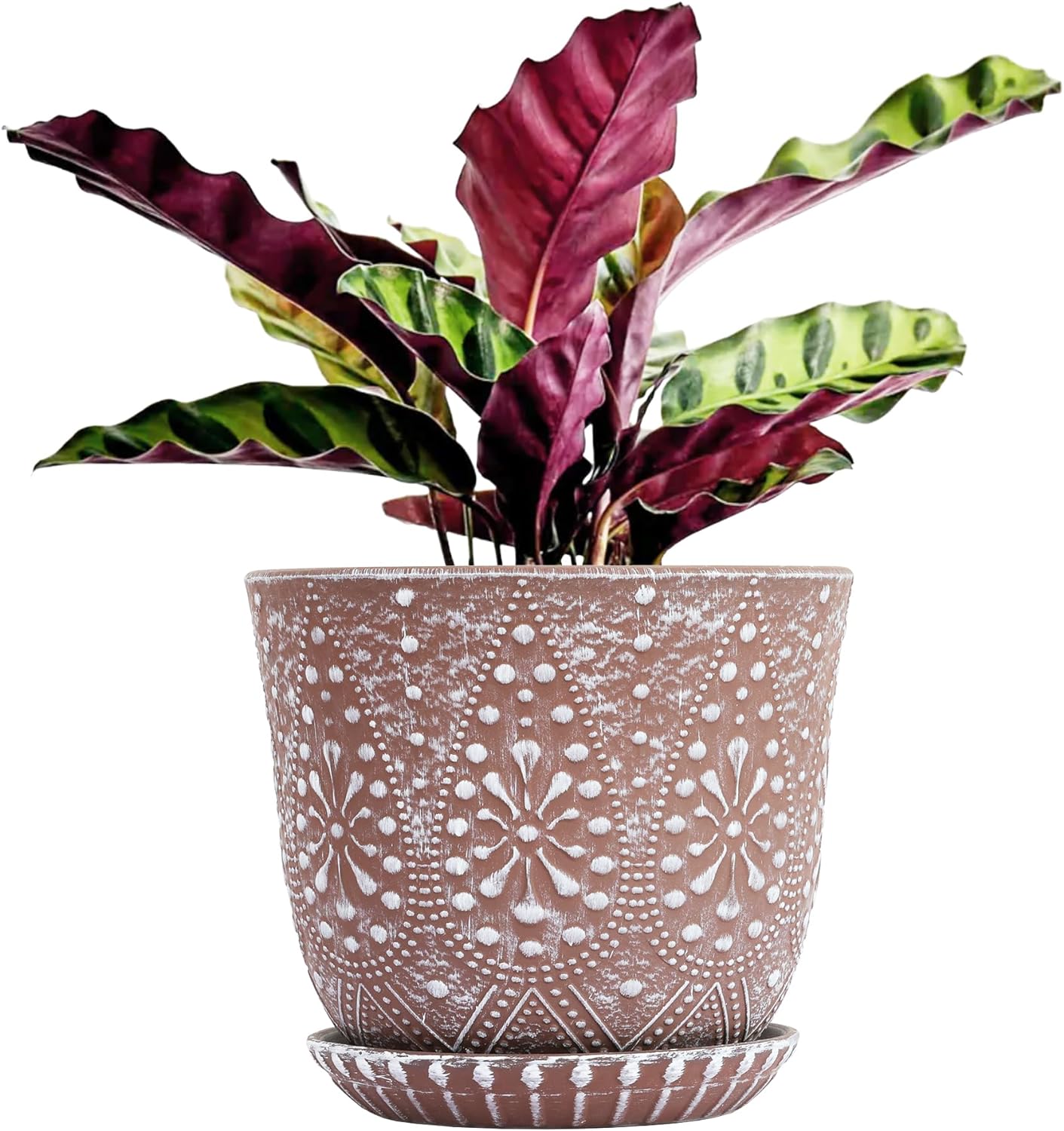 Gepege Ceramic Plant Pots, 6 Inch Indoor Planters with Drainage & Saucers