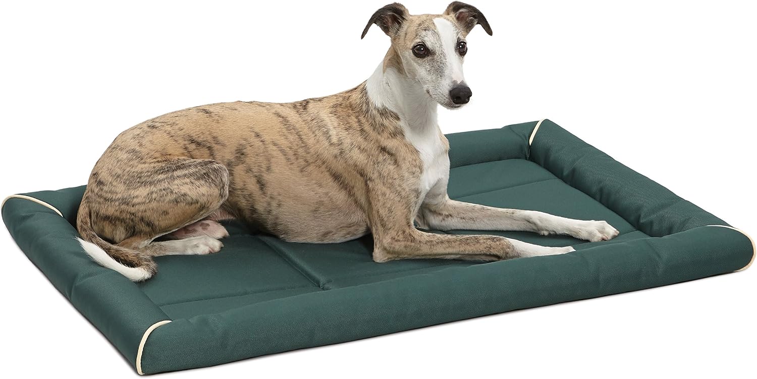 MidWest Homes for Pets Intermediate QuietTime MAXX Ultra-Rugged Dog Bed, Water & Odor Resistant, Bolstered Edge, Non-Slip Bottom, Fits 36-inch Crates, Black