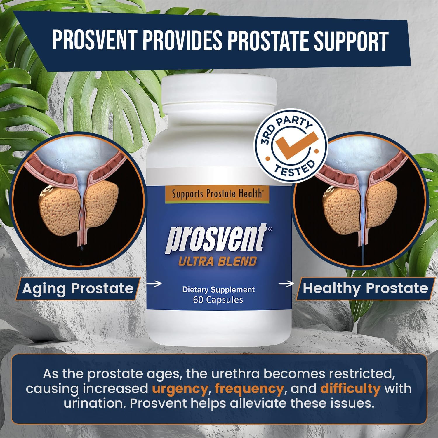 Prosvent Ultra Prostate Support with Cranberry, 60 Capsules