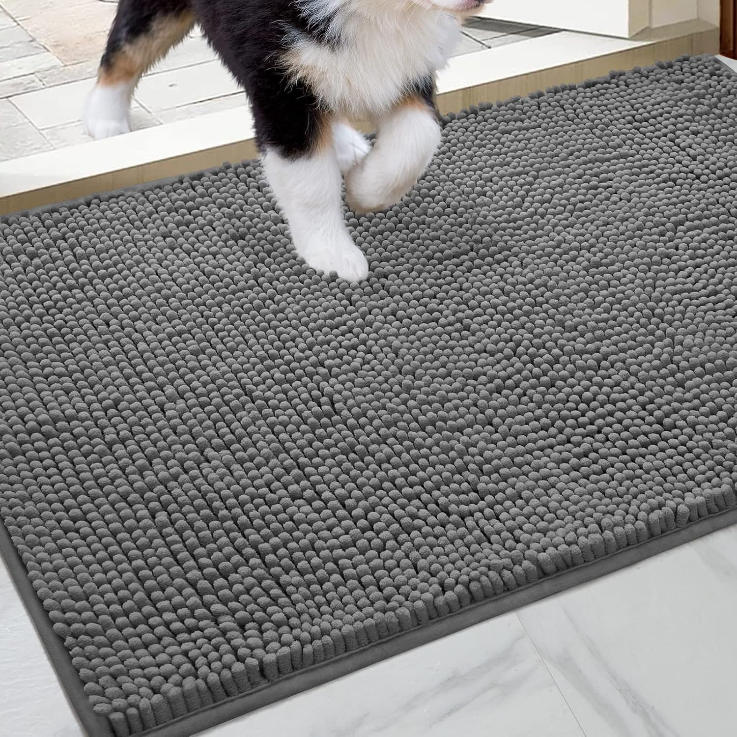 HOMEIDEAS Dog Door Mat for Muddy Paws 30x20, Absorbs Moisture and Dirt, Non-Slip Washable Doormat, Soft Chenille Mud Mat for Dogs