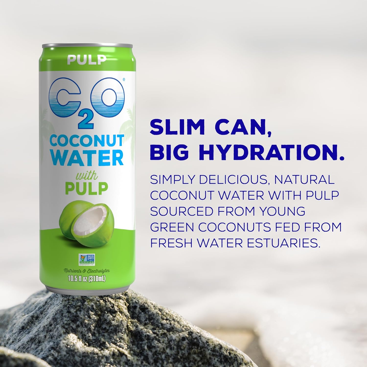 C2O - Coconut Water with Pineapple (12 Pack) - Made with Fresh Coconut Water - Plant Based - Non GMO - Canned Water - Natural Hydration, Essential Electrolytes, & Potassium - 12 Cans, 17.5 FL OZ