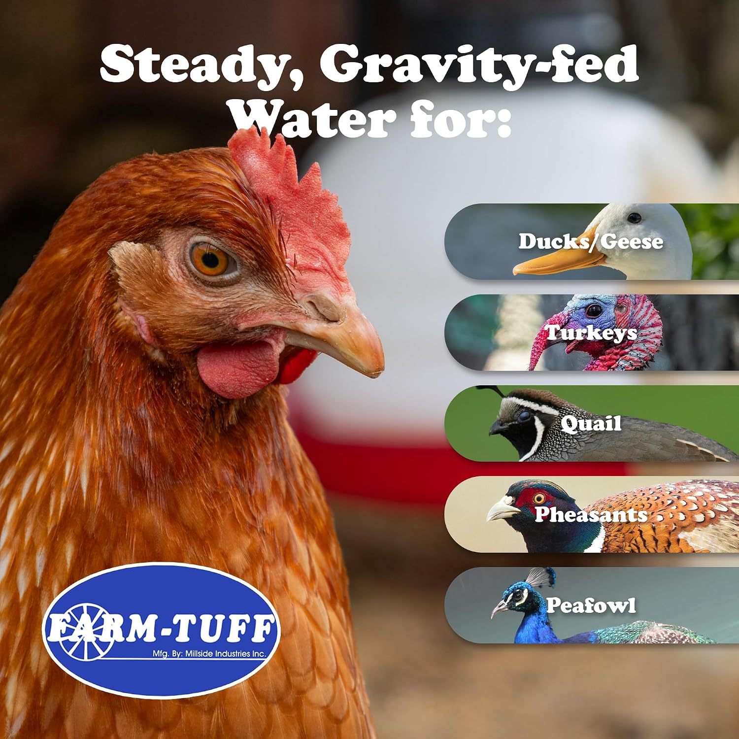 FARM-TUFF Hanging Chicken Waterer