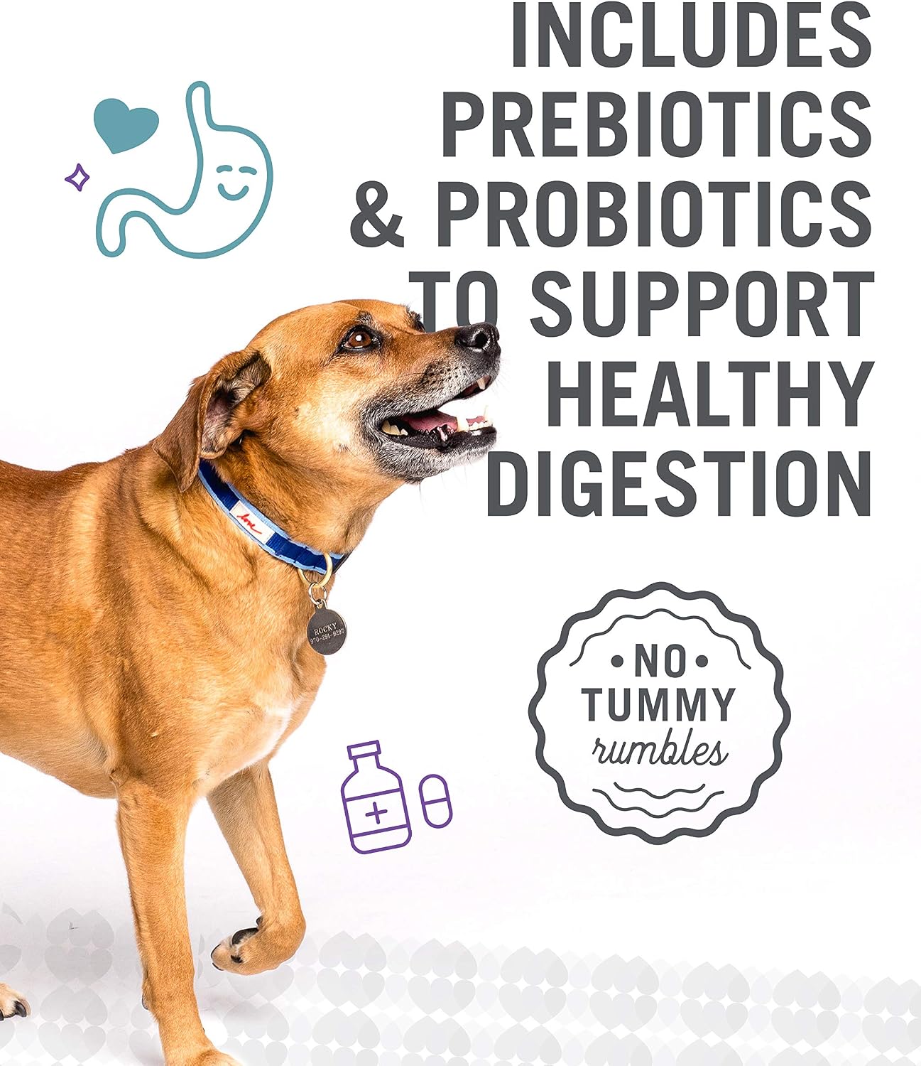 I and love and you Naked Essentials Dry Dog Food - Lamb + Bison - High Protein, Real Meat, No Fillers, Prebiotics + Probiotics, 4lb Bag