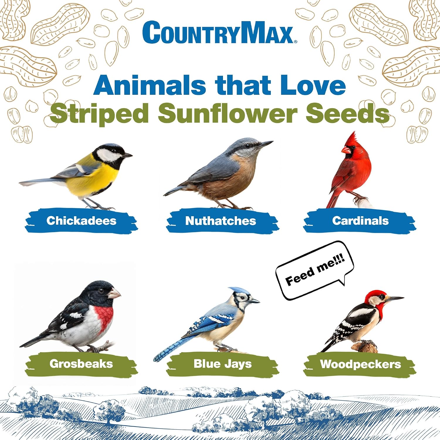 CountryMax Shelled Sunflower Chips 10 lb - No Waste Bird Seed for Outside Feeders, Resealable Bag of Wild Bird Feed | For Smaller Beaks, No Mess, No Waste. High Energy & USA Sourced. For Ground Feeding or Bird Feeders, For Year-Round Feeding