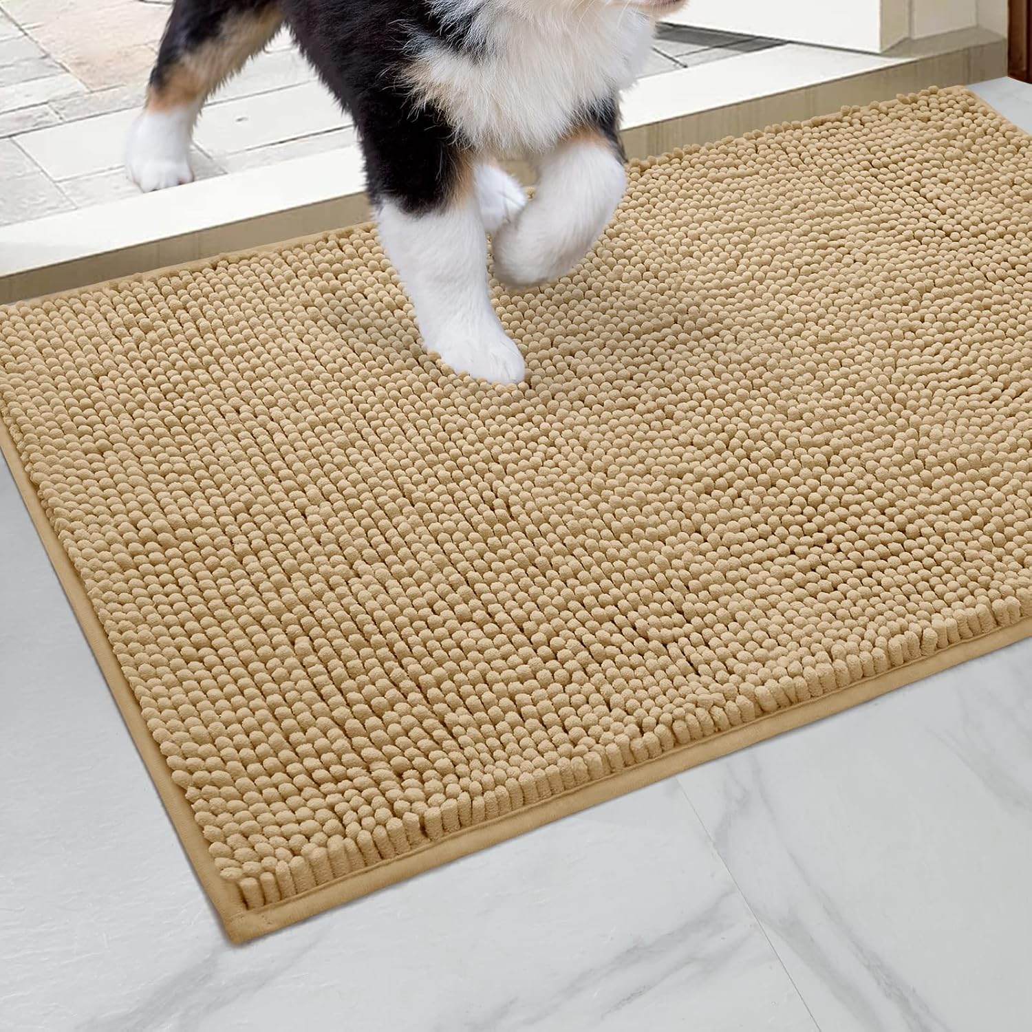 HOMEIDEAS Dog Door Mat for Muddy Paws 30x20, Absorbs Moisture and Dirt, Non-Slip Washable Doormat, Soft Chenille Mud Mat for Dogs