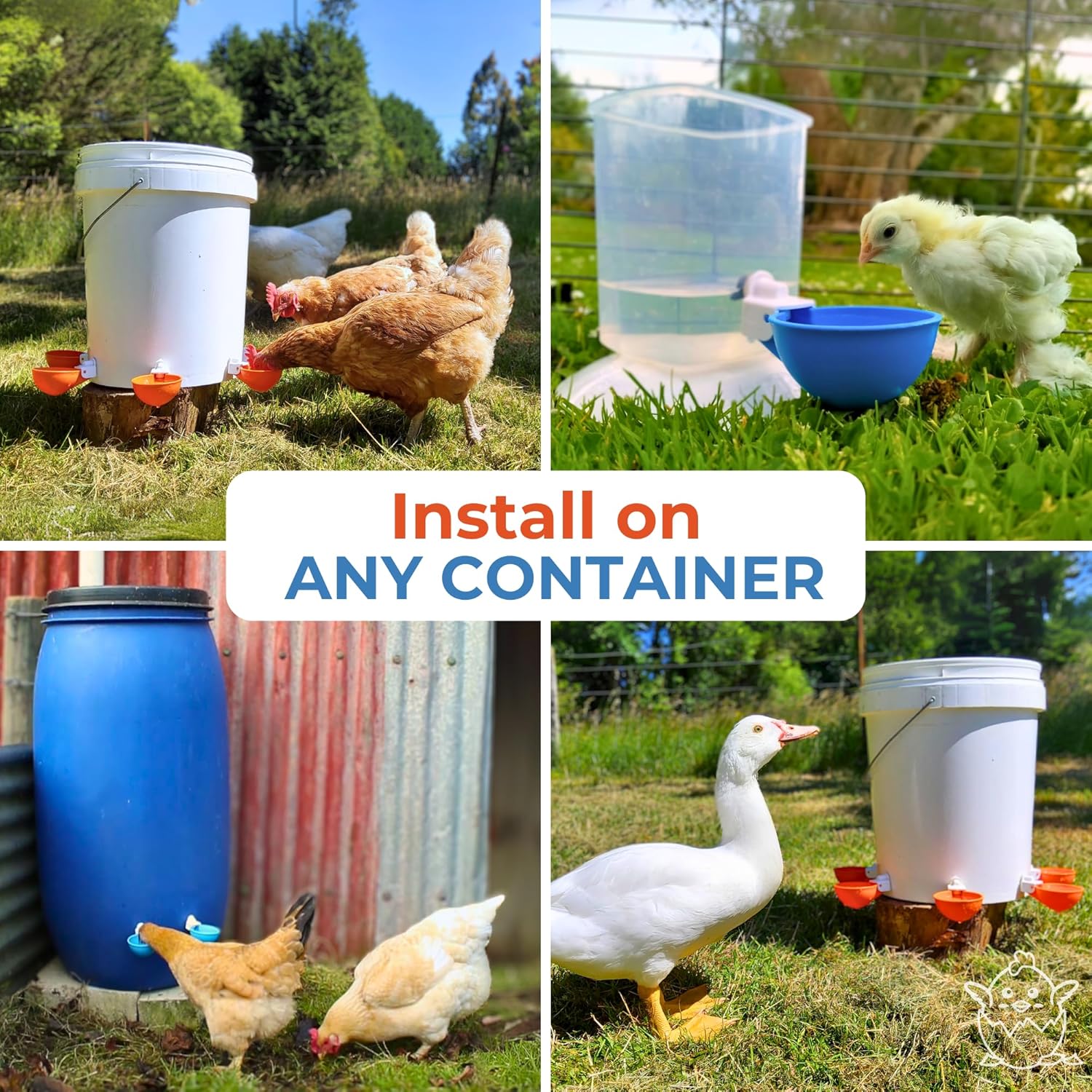 Lil'Clucker Large Automatic Chicken Waterer Cups | Chicken Water Feeder Suitable for Chicks, Duck, Goose