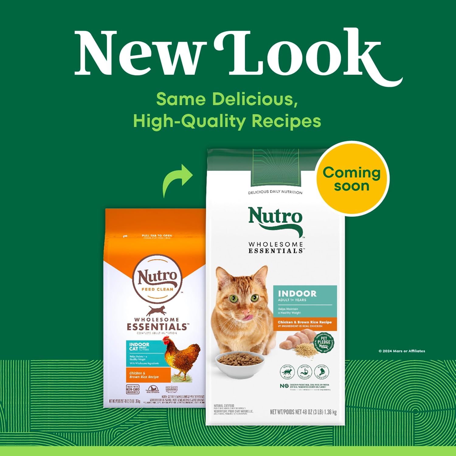 Nutro Wholesome Essentials Indoor Adult Dry Cat Food, Chicken & Rice, 14 lb | Real chicken #1 ingredient, natural prebiotic fiber for digestion, Vitamin E & Selenium antioxidants, supports whole body
