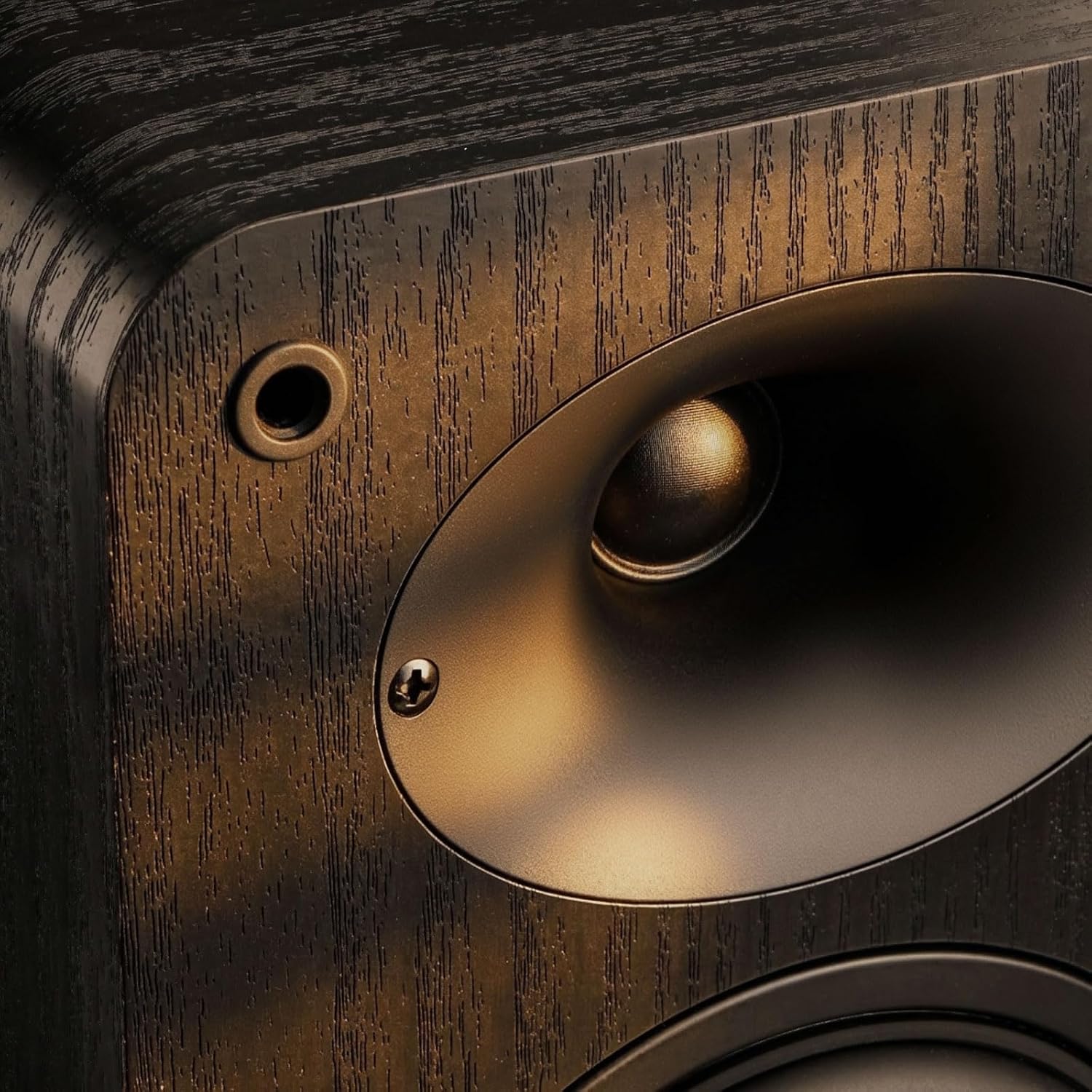 RIOWOIS Passive Bookshelf Speakers, Home Stereo Speakers for Record Player | Silk-Dome Horn Tweeter, 4 inch Woofer, Gold-plated Terminals