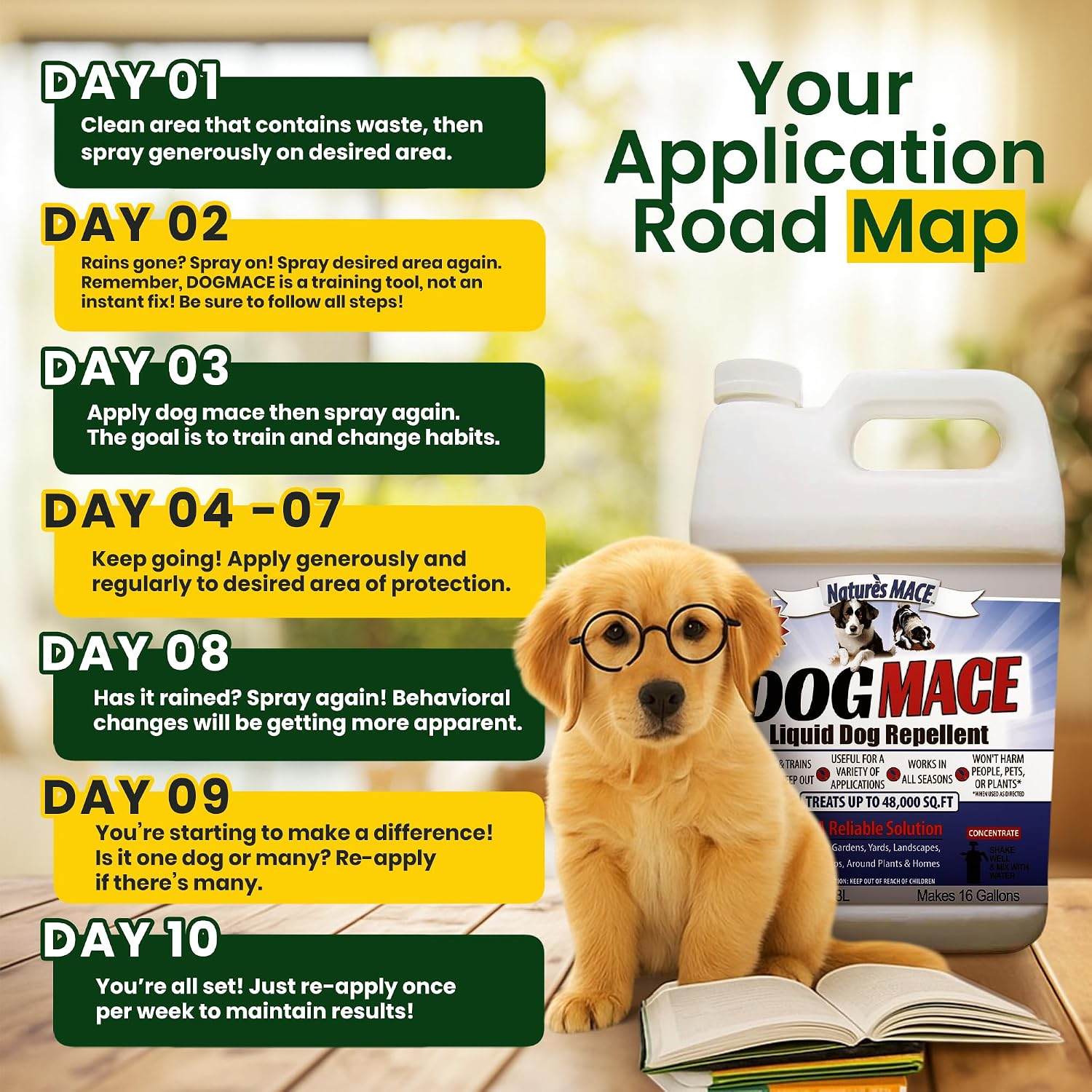 Nature's MACE Dog Mace Dog Repellent 1 Gallon Concentrate | Potty Training Tool Spray, Indoor & Outdoor, Pee Deterrent, Safe Around Kids, Pets, Garden & Plants, Treats 48,000 Sq. Ft.
