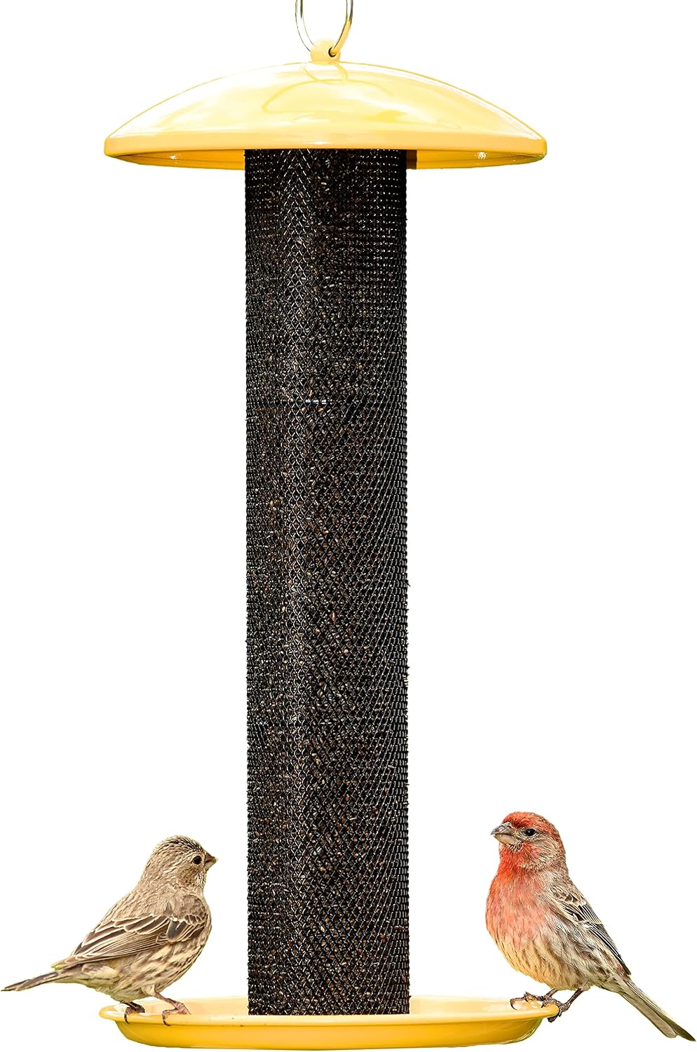 Perky-Pet YSSF00346-2 Straight-Sided Thistle Seed Wire Mesh Tube Finch Bird Feeder | Wire Mesh, Metal Construction, Evenseed Technology